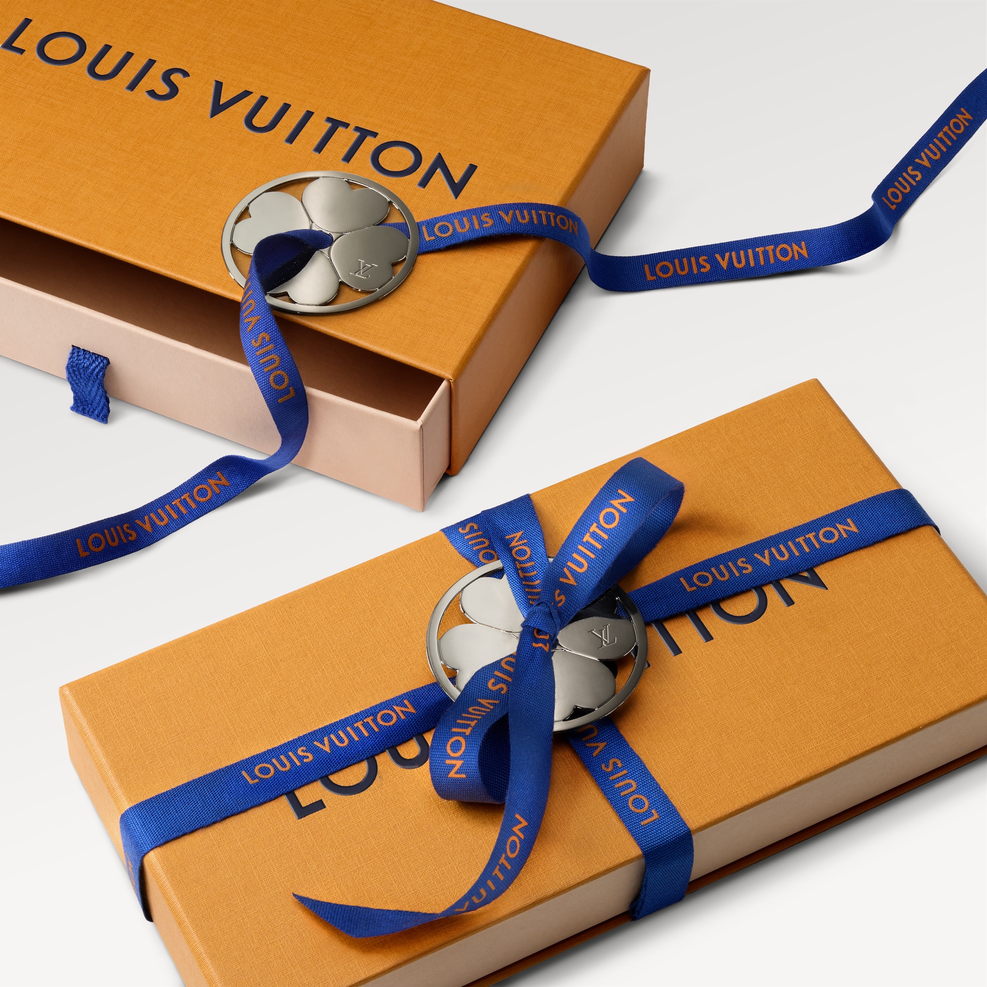 AMERIGO WALLET Taiga Leather - For Him | LOUIS VUITTON
