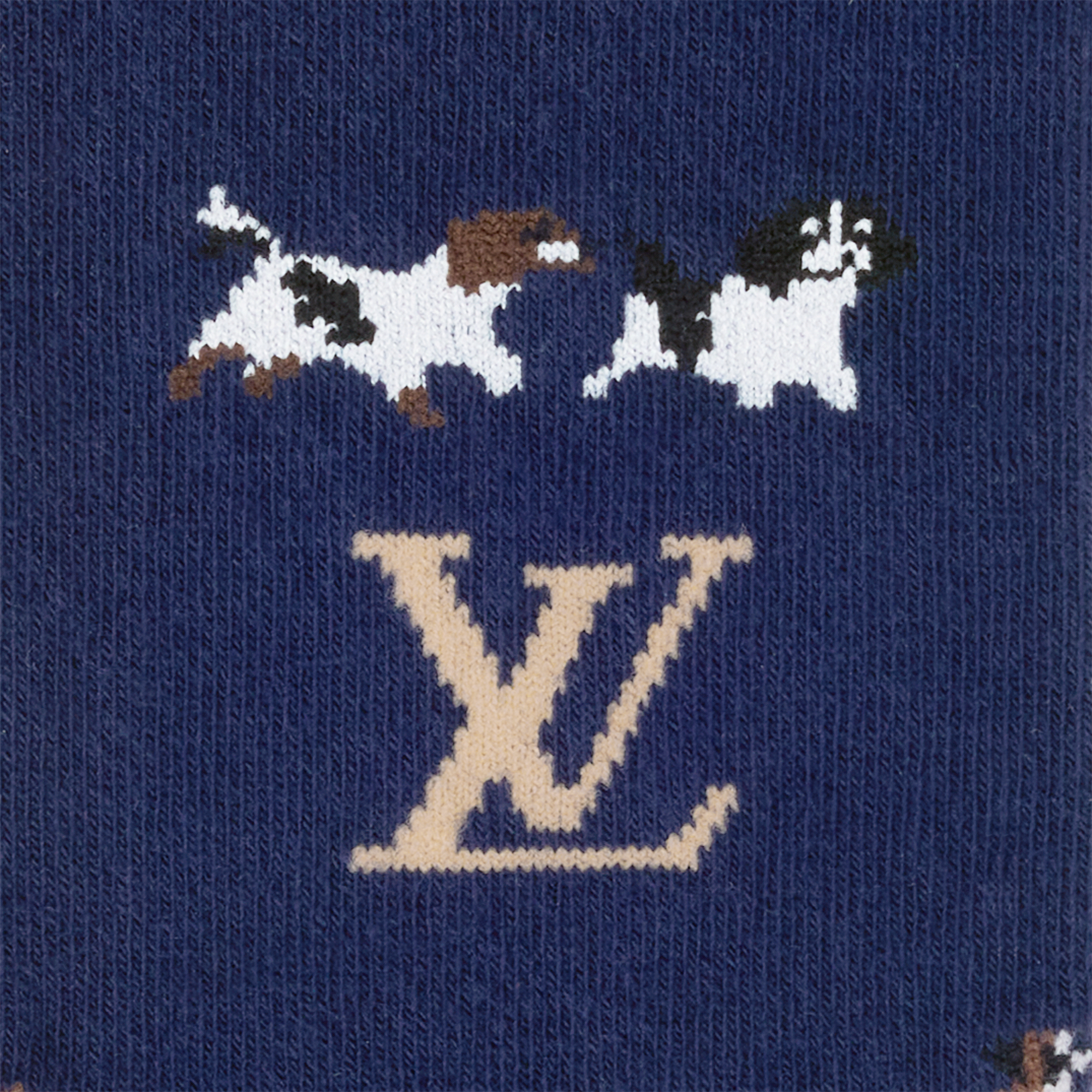 Animal Blason Socks . in Men