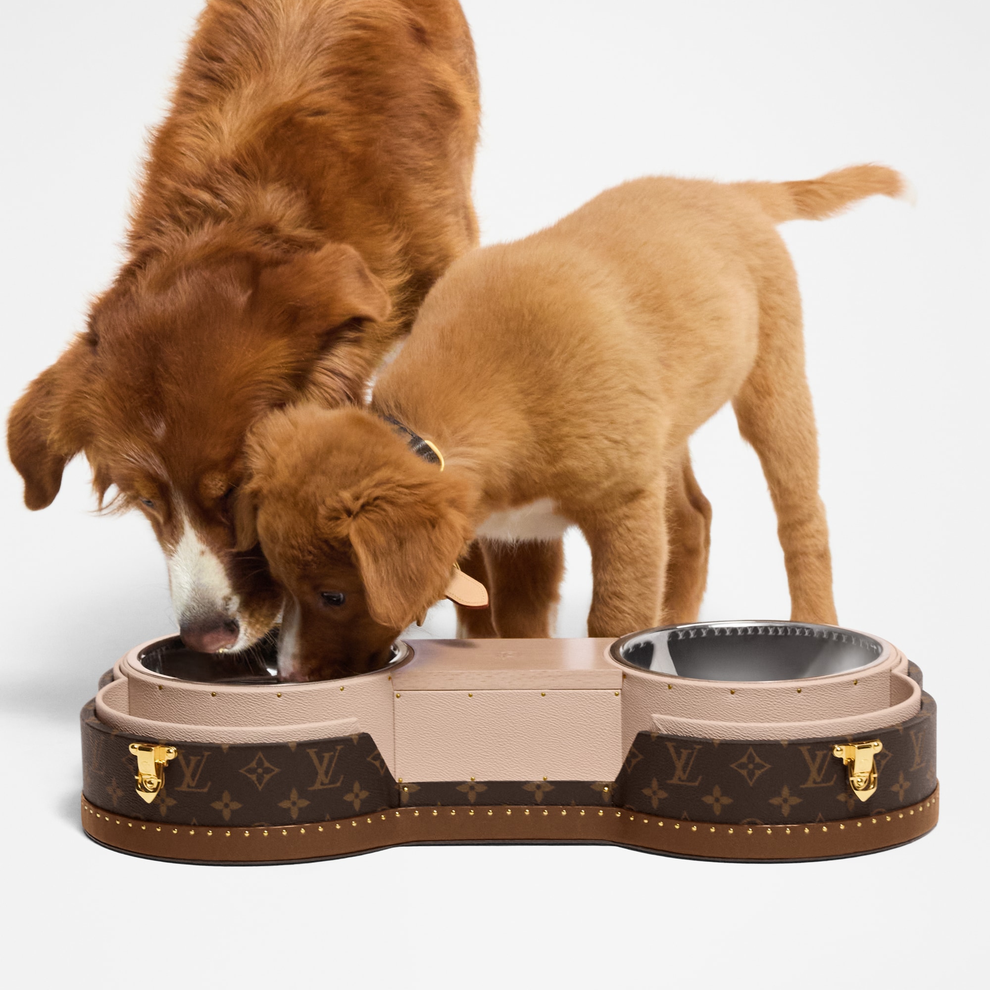 Bone Trunk  Monogram Other in Trunks, Travel and Home