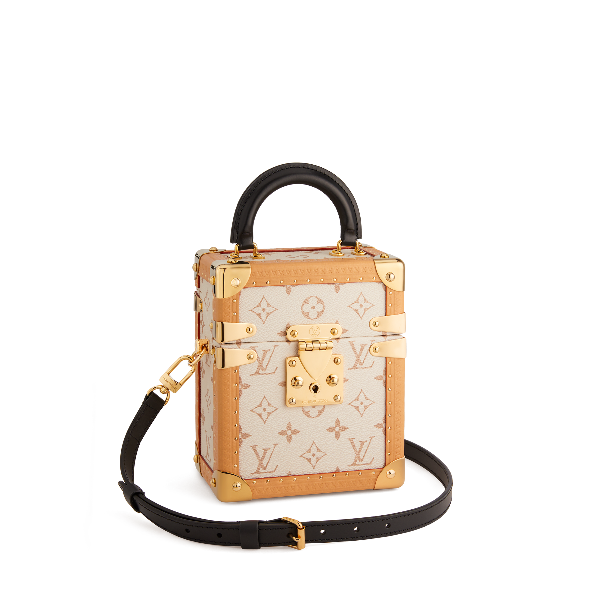 Camera Box Monogram Beige Other Monogram Canvas in Les Extraordinaires