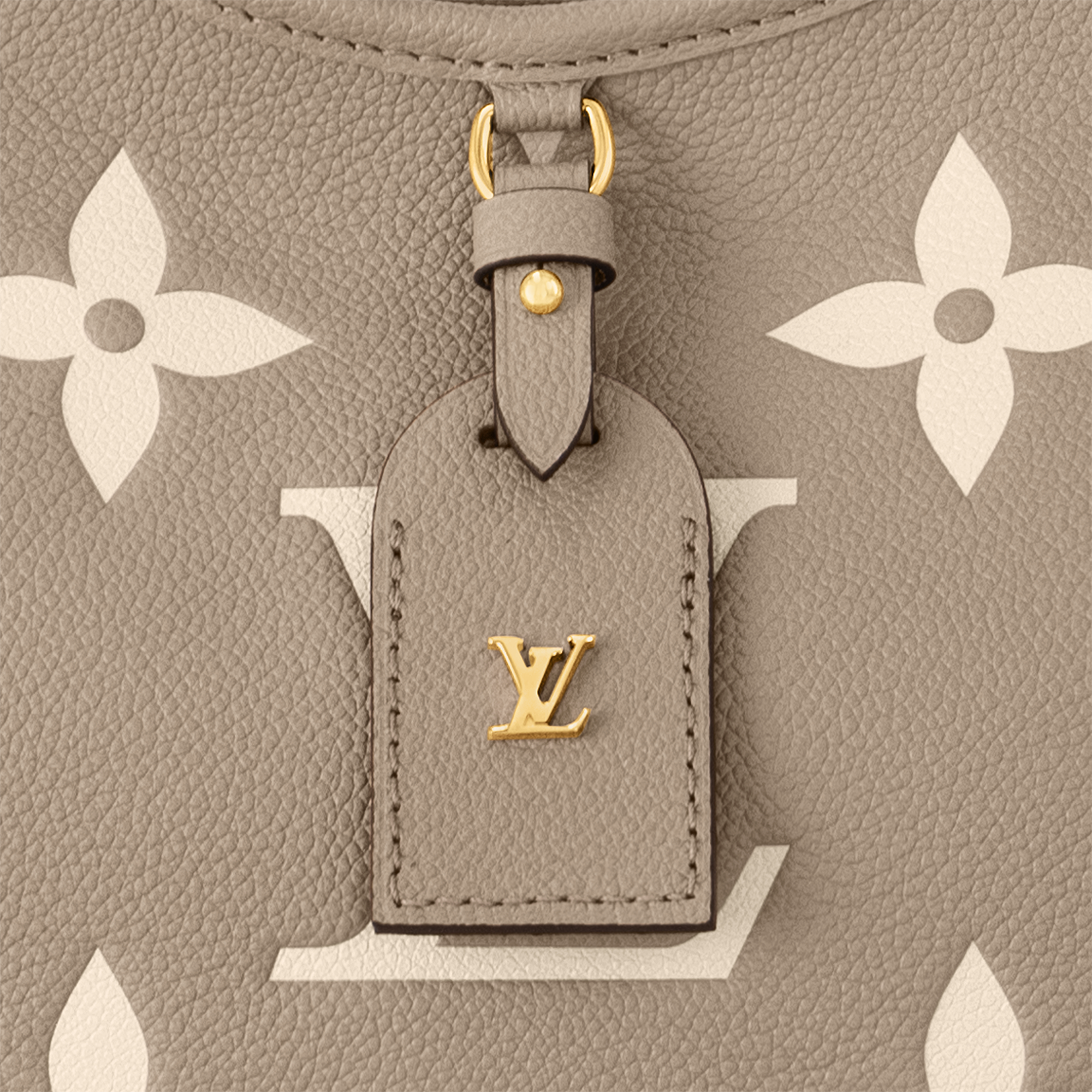 CarryAll PM Bicolour Monogram Empreinte Leather in Women