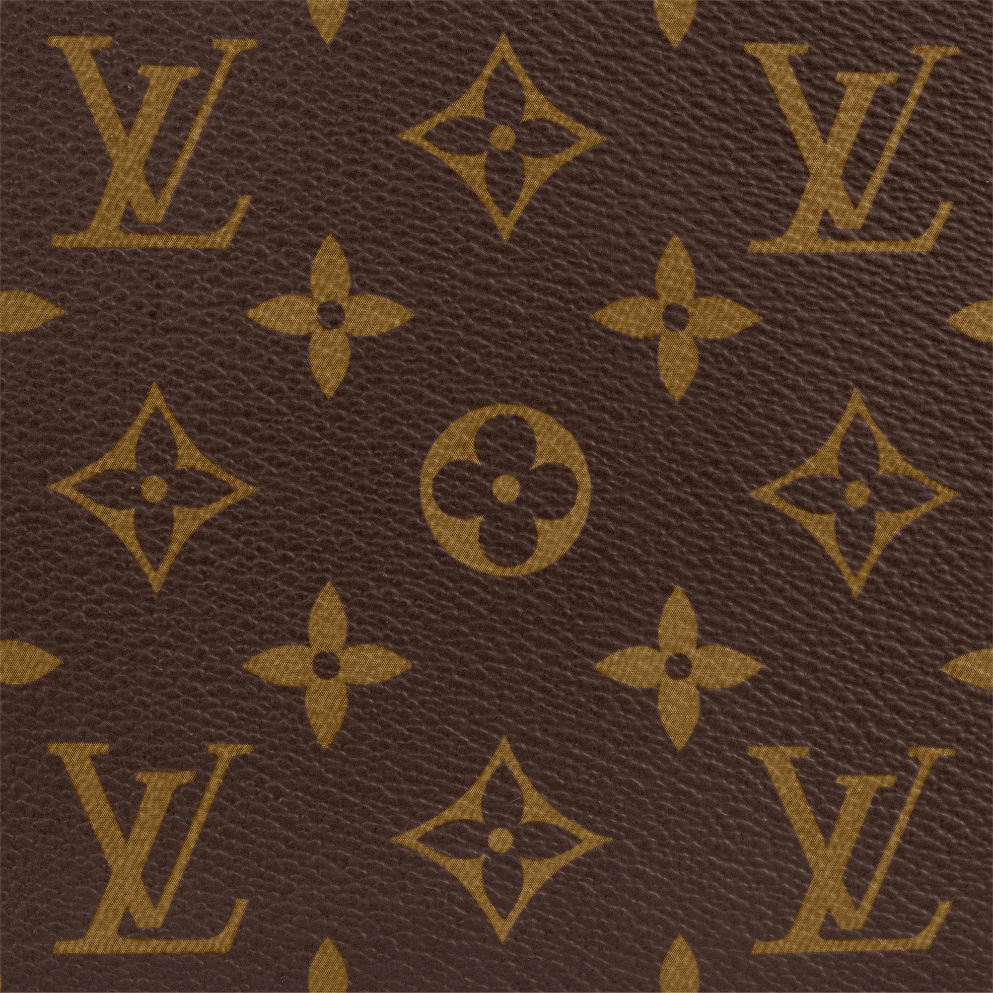 Cruiser Bag 45 Monogram Canvas in Bags and Small Leather Goods