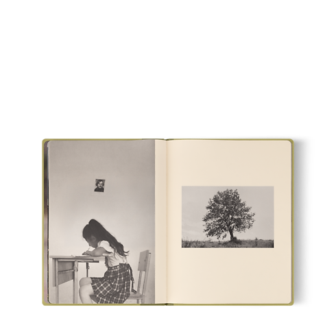 Fashion Eye Armenia in Trunks, Travel and Home's Books and Stationery Fashion Eye Books collections by Louis Vuitton (Product zoom)