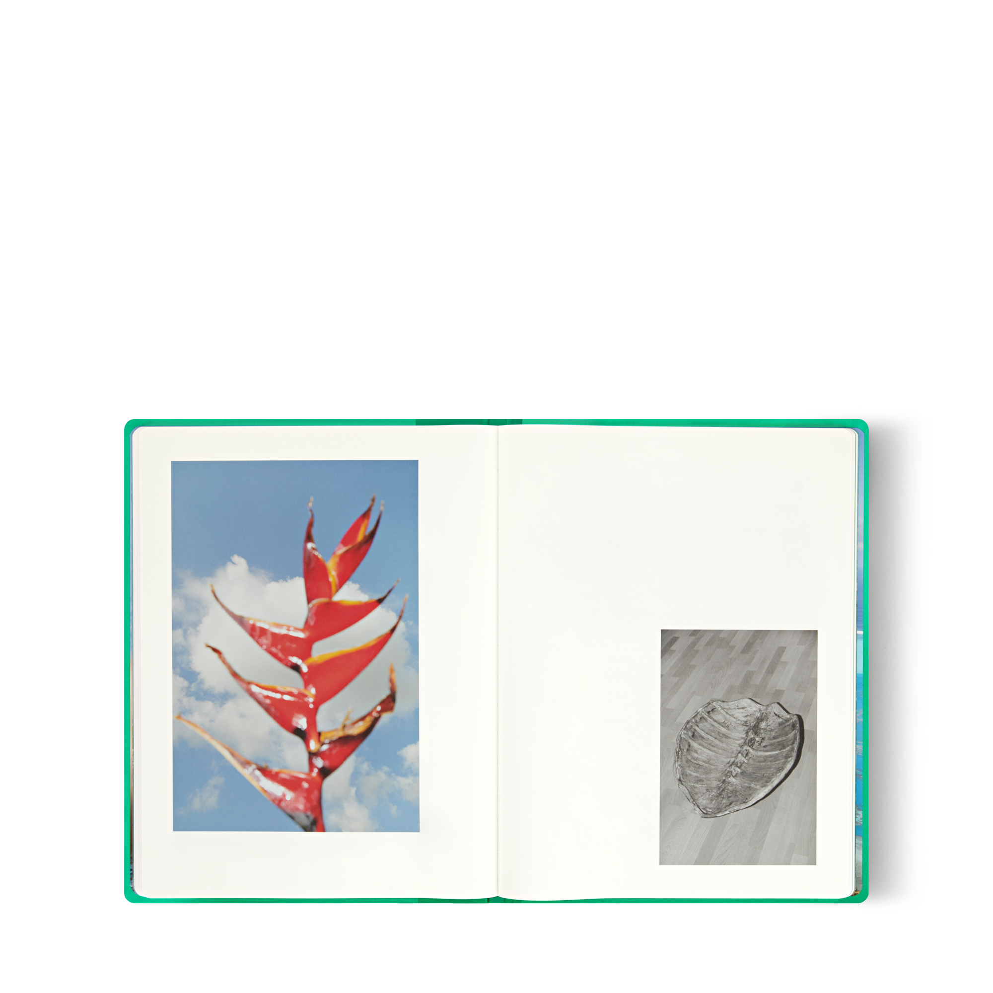 Fashion Eye Tahiti By Jonathan Llense  in Trunks, Travel and Home