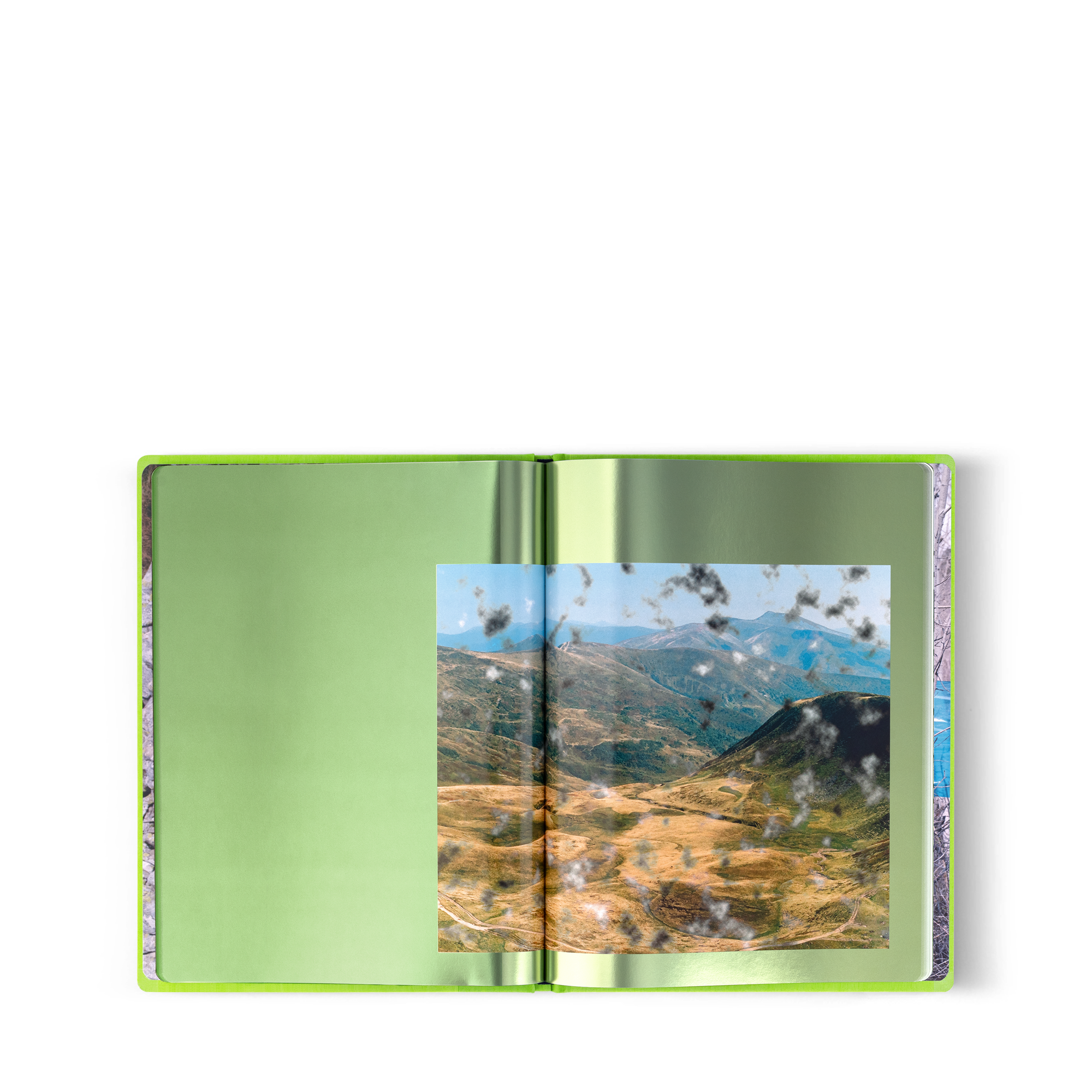 Fashion Eye Ukraine  in Trunks, Travel and Home