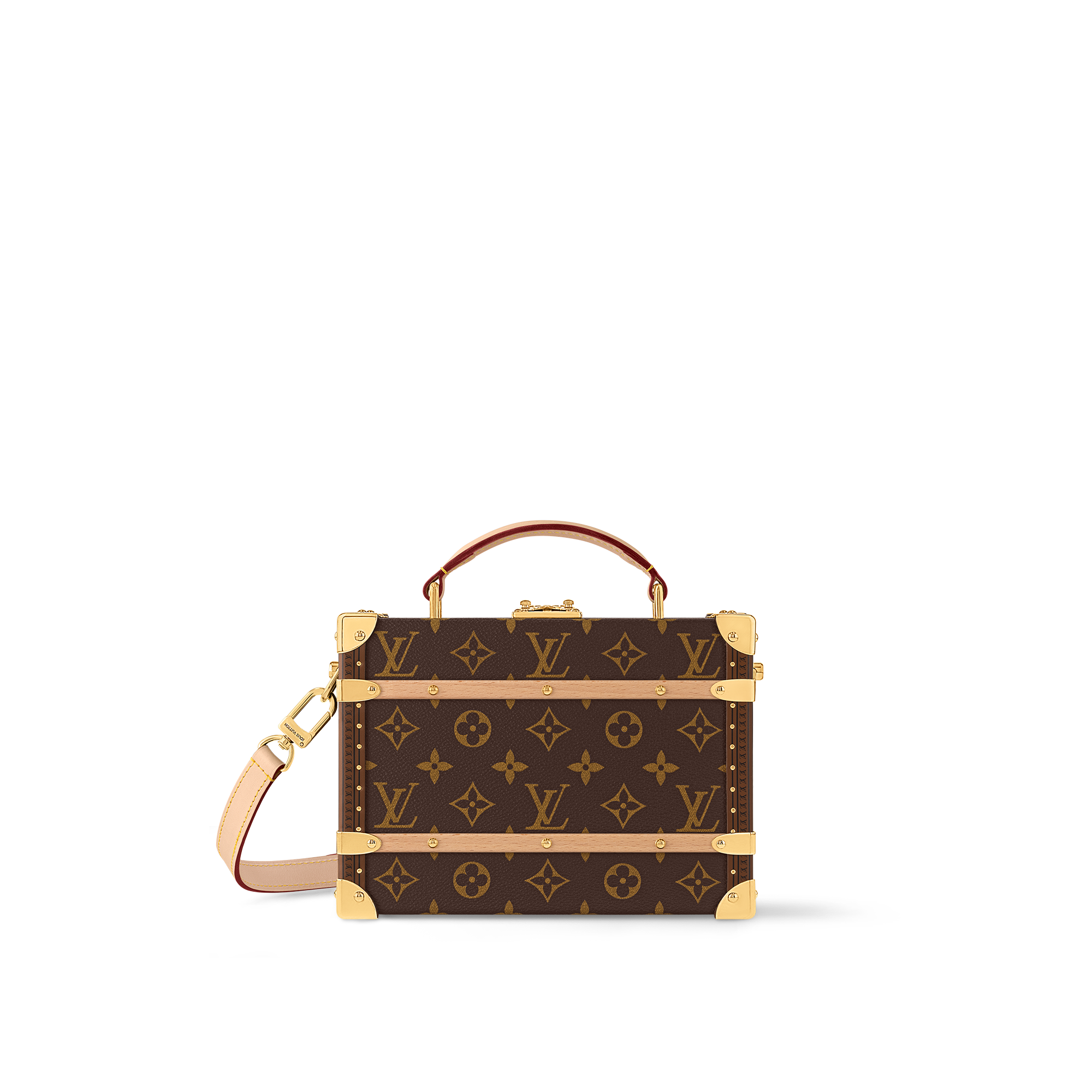 Handle Trunk Monogram Monogram in Les Extraordinaires