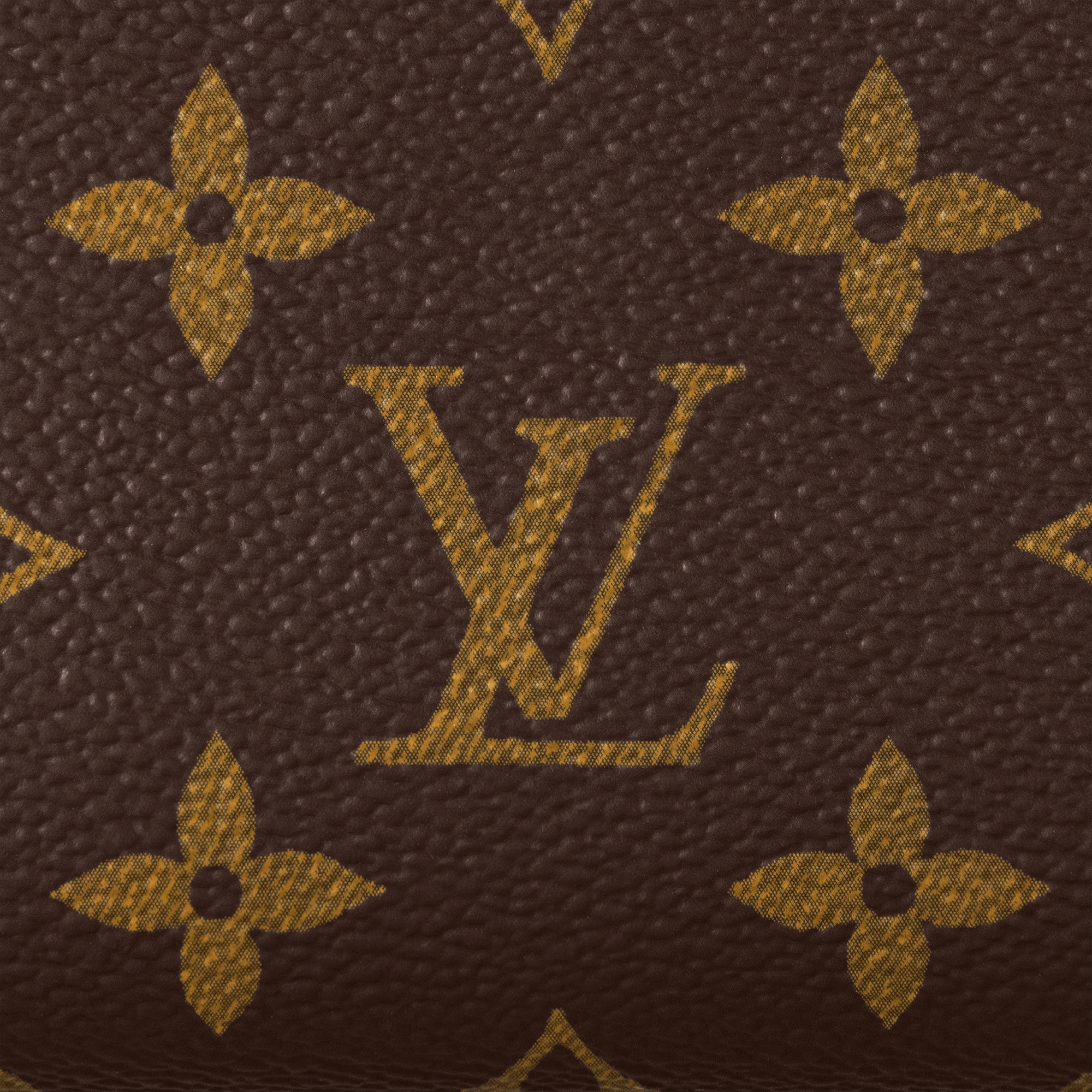 Lou Wallet Monogram in Women