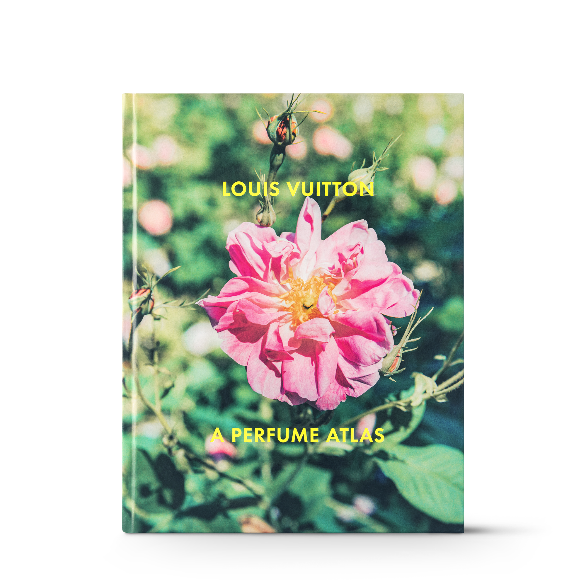 Rose (Not available)
