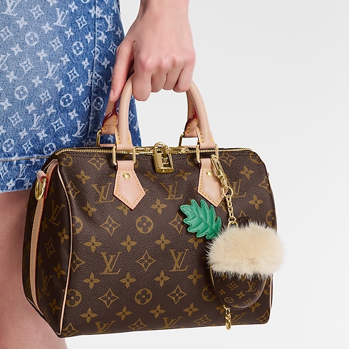 LV Acorn Pouch . in Women's Accessories Key Holders and Bag Charms collections by Louis Vuitton (Product zoom)
