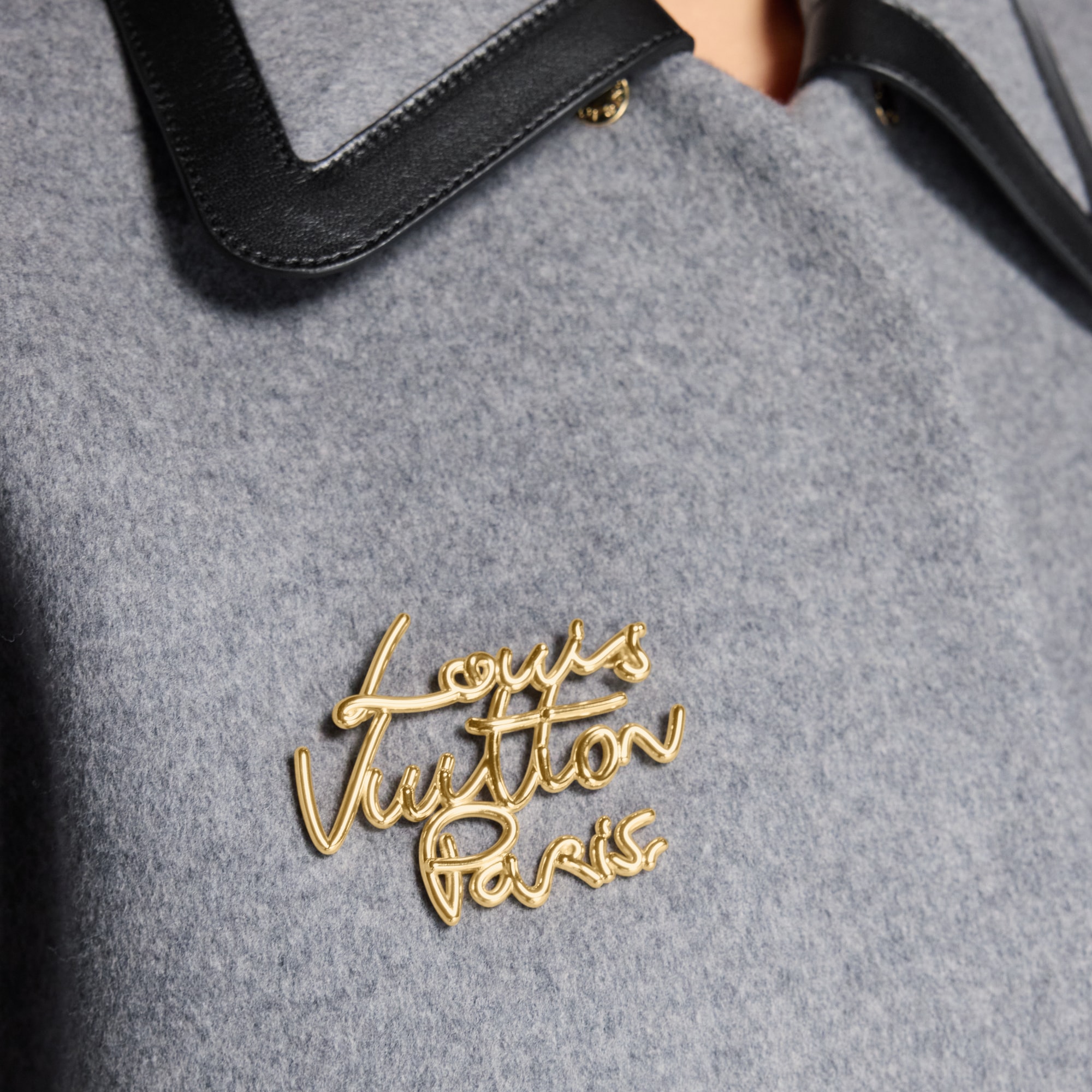 LV Script Brooch . in Women