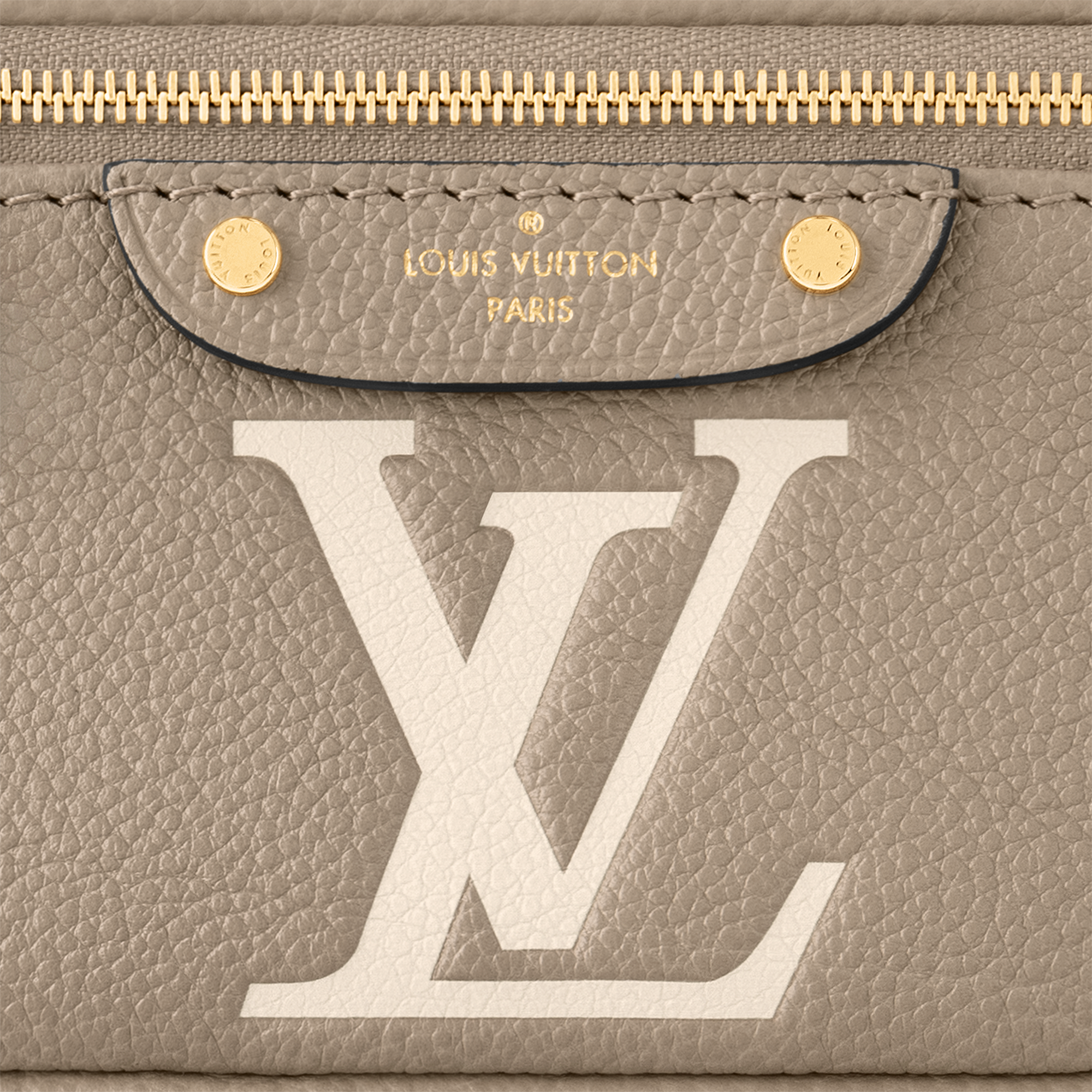 Mini Bumbag Bicolour Monogram Empreinte Leather in Women