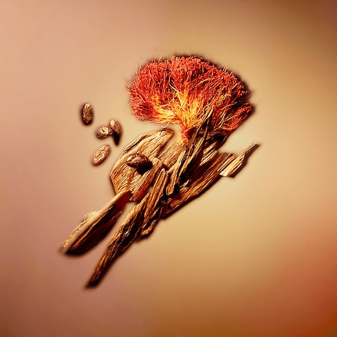 Nouveau Monde in Perfumes and Beauty's Collections Masculine Perfumes collections by Louis Vuitton (Product zoom)