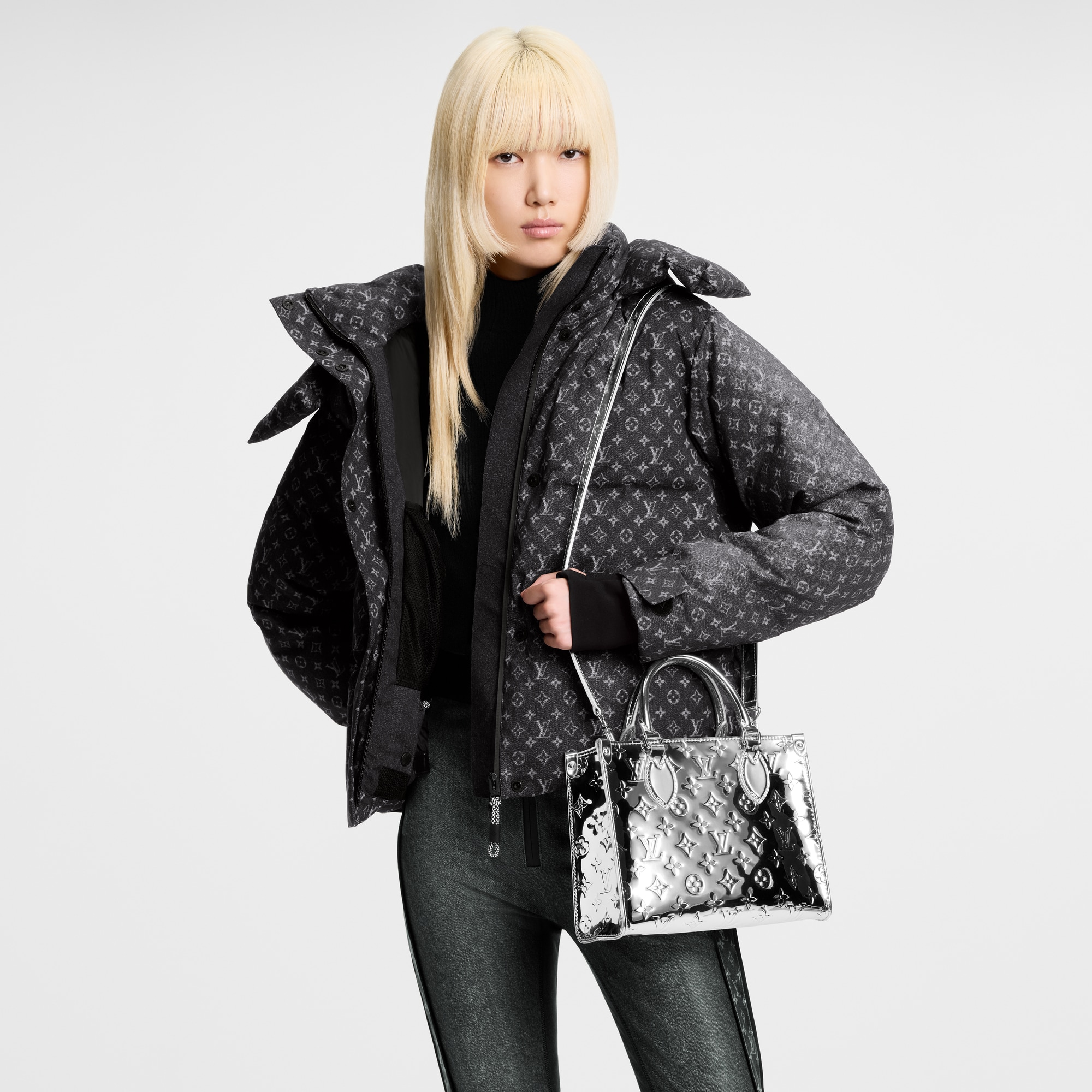 OnTheGo PM Other Monogram Canvas in Bags and Small Leather Goods