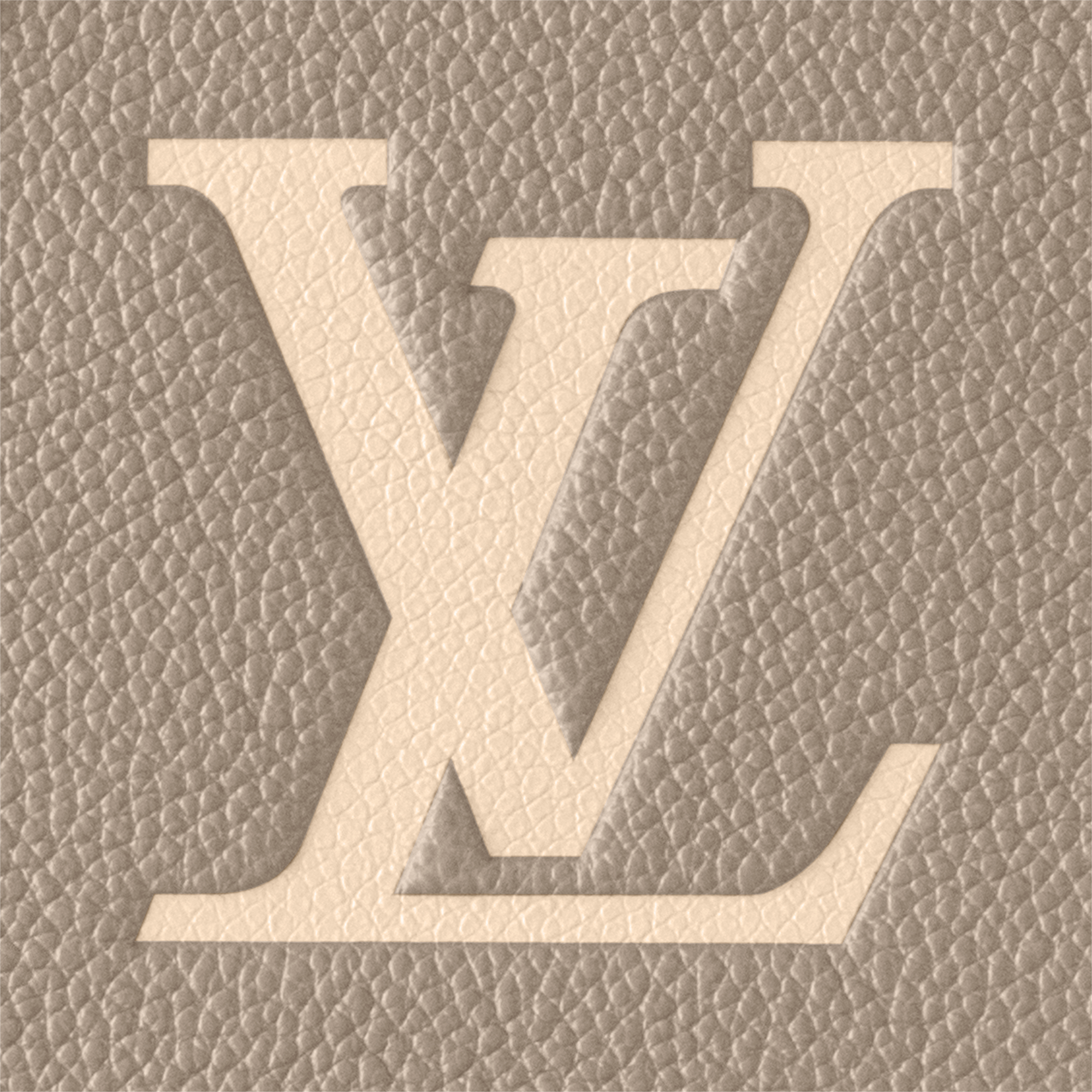 OnTheGo PM Bicolour Monogram Empreinte Leather in Women