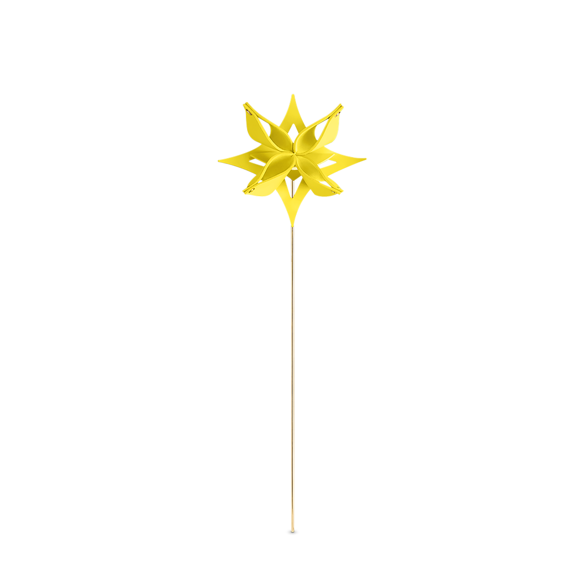 Anis (Not available)