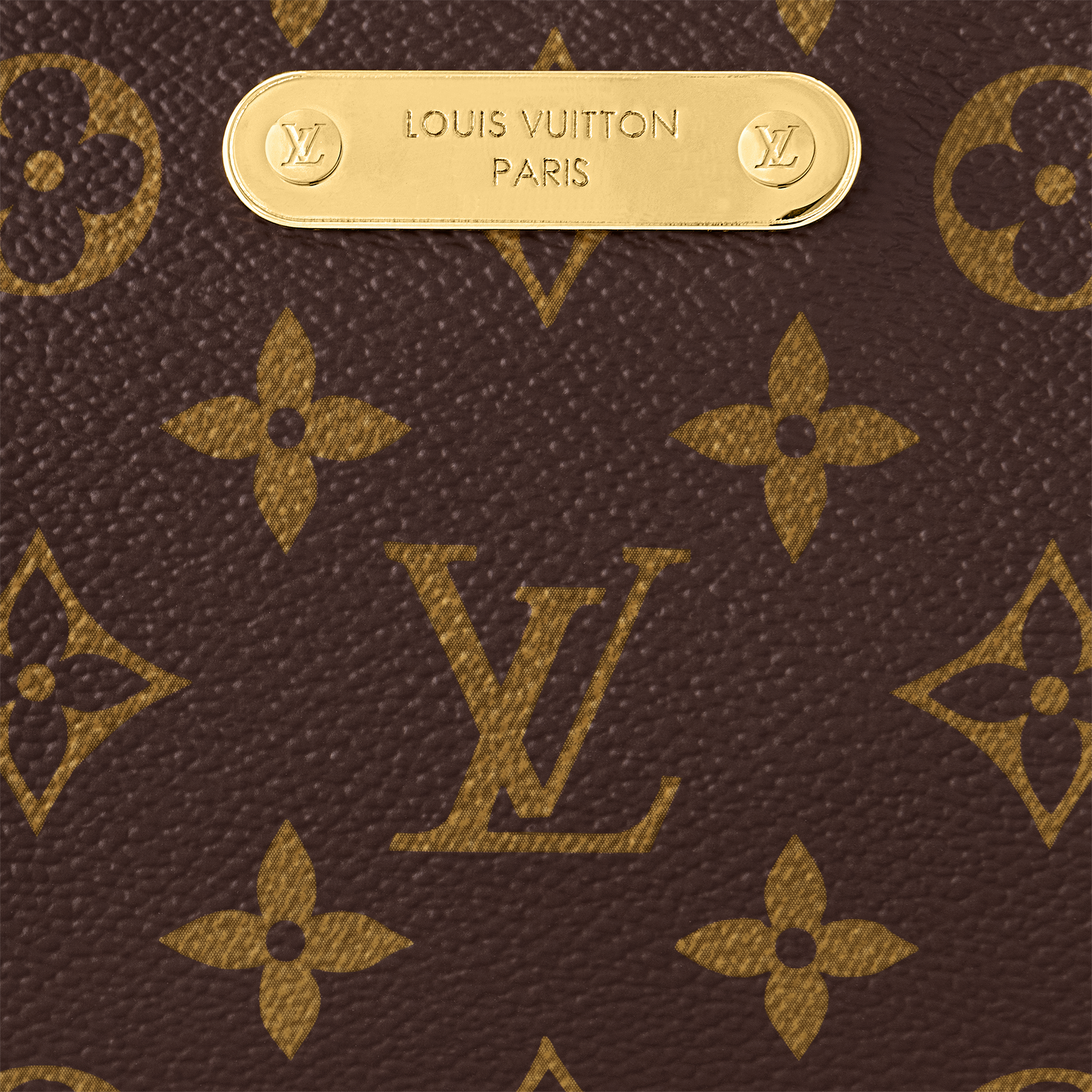 Pochette Liv Monogram in Women