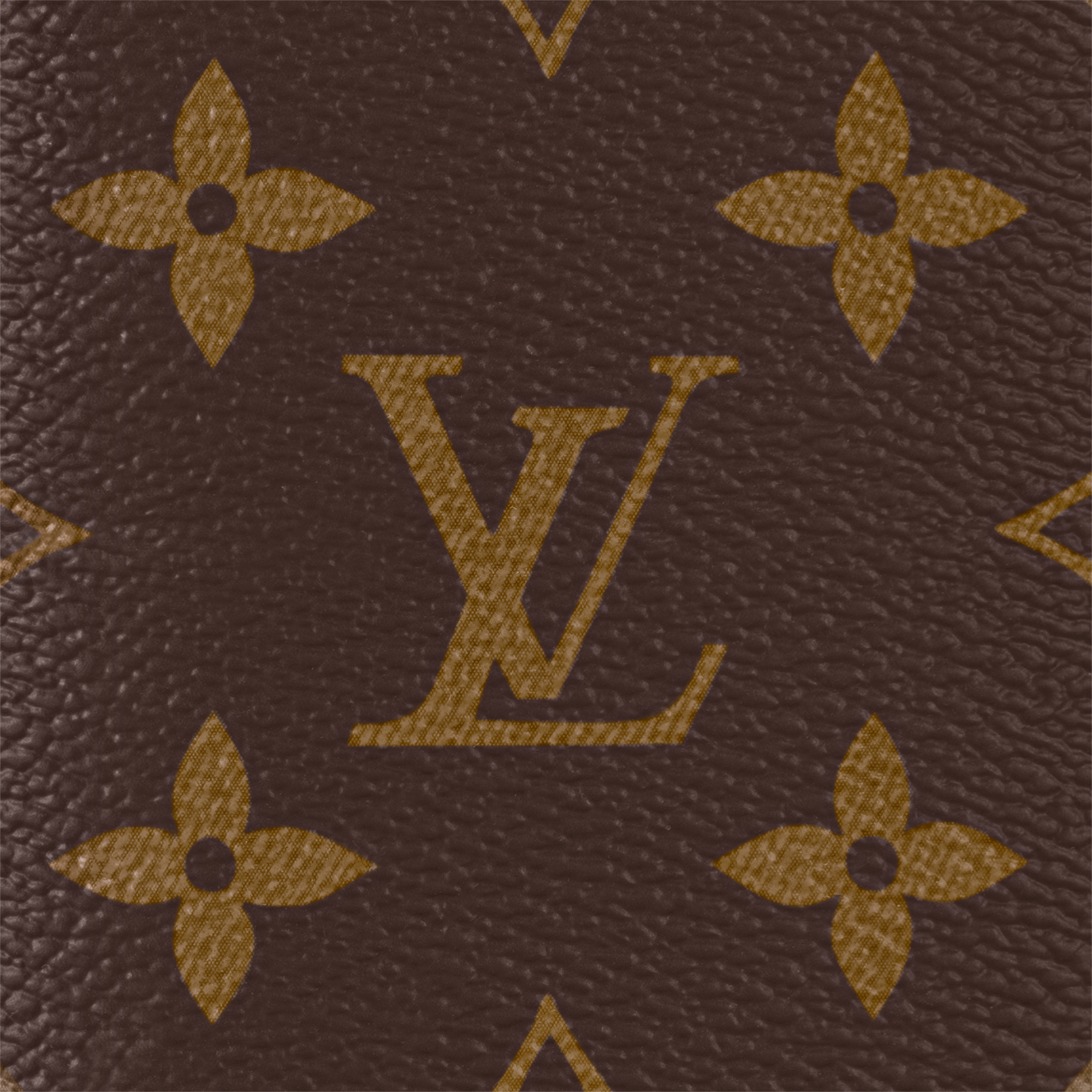 Pocket Organizer Monogram in Men