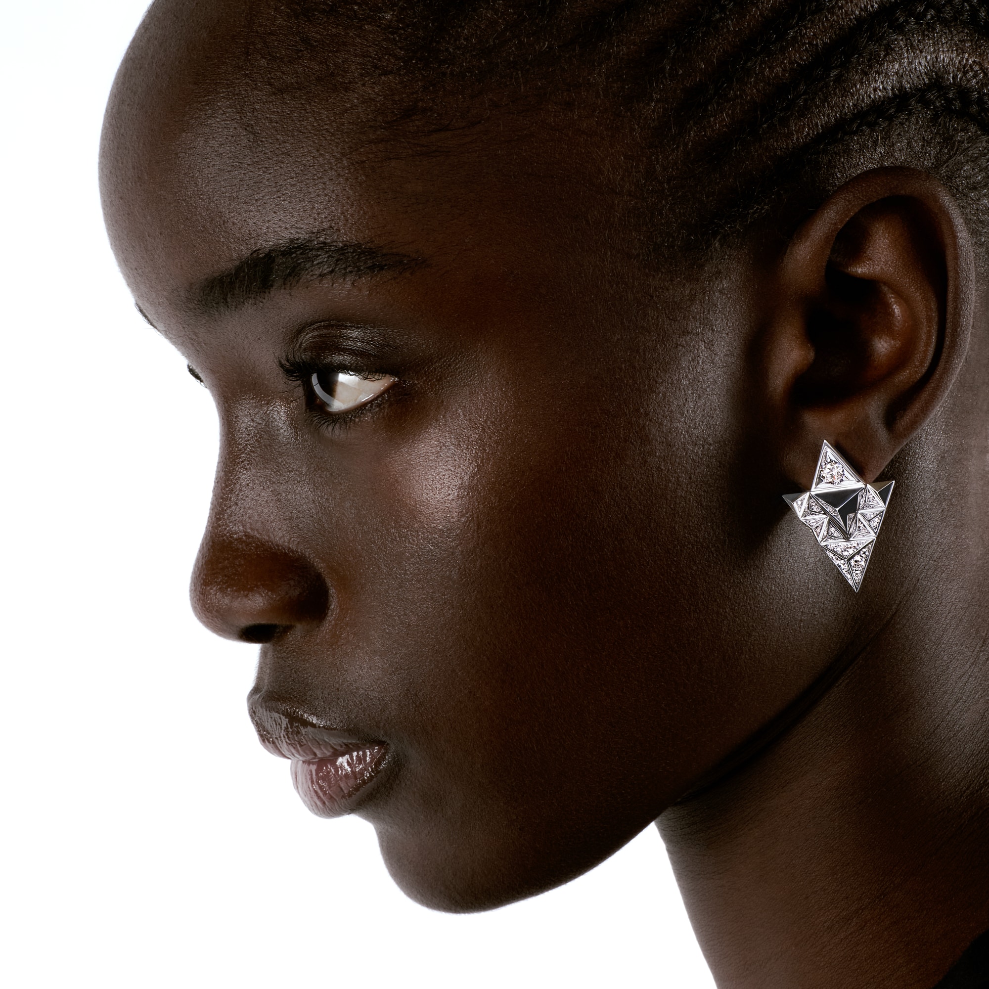 Pure V Earrings, White Gold and Diamonds  in Jewellery
