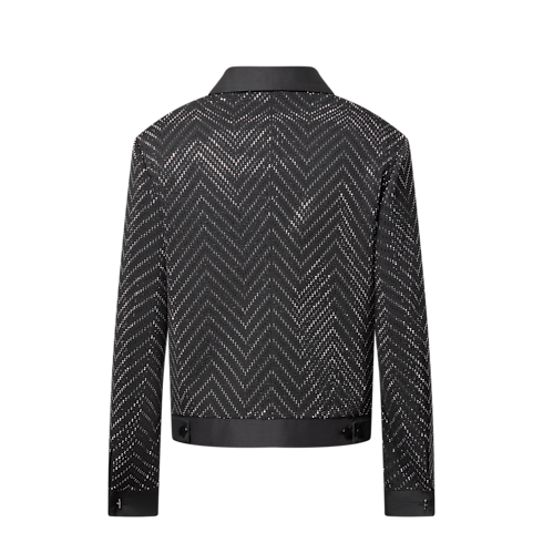 Rhinestone Evening Blouson in Men's Ready-to-Wear Outerwear and Coats collections by Louis Vuitton (Product zoom)