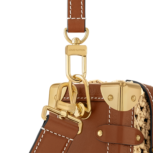 Side Trunk MM Other Monogram Canvas in Bags and Small Leather Goods's Women Bags LV Icons collections by Louis Vuitton (Product zoom)