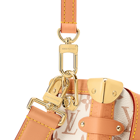 Side Trunk MM Other Monogram Canvas in Bags and Small Leather Goods's Women Bags LV Icons collections by Louis Vuitton (Product zoom)