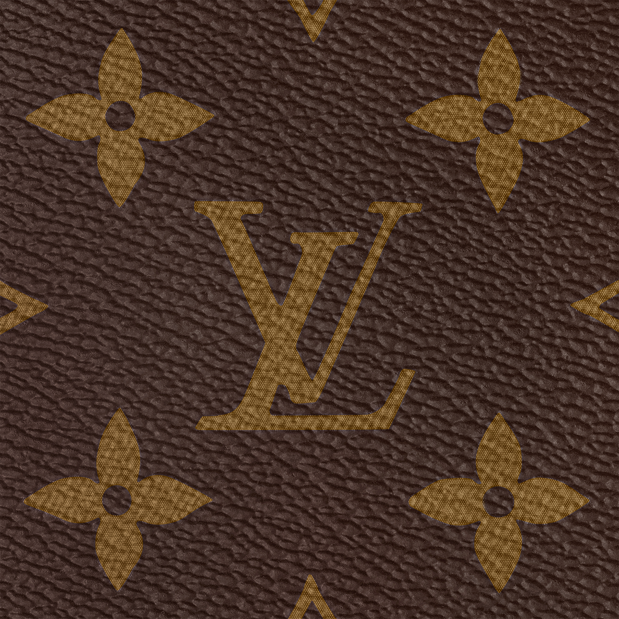 Speedy Bandoulière 25 Monogram in Women