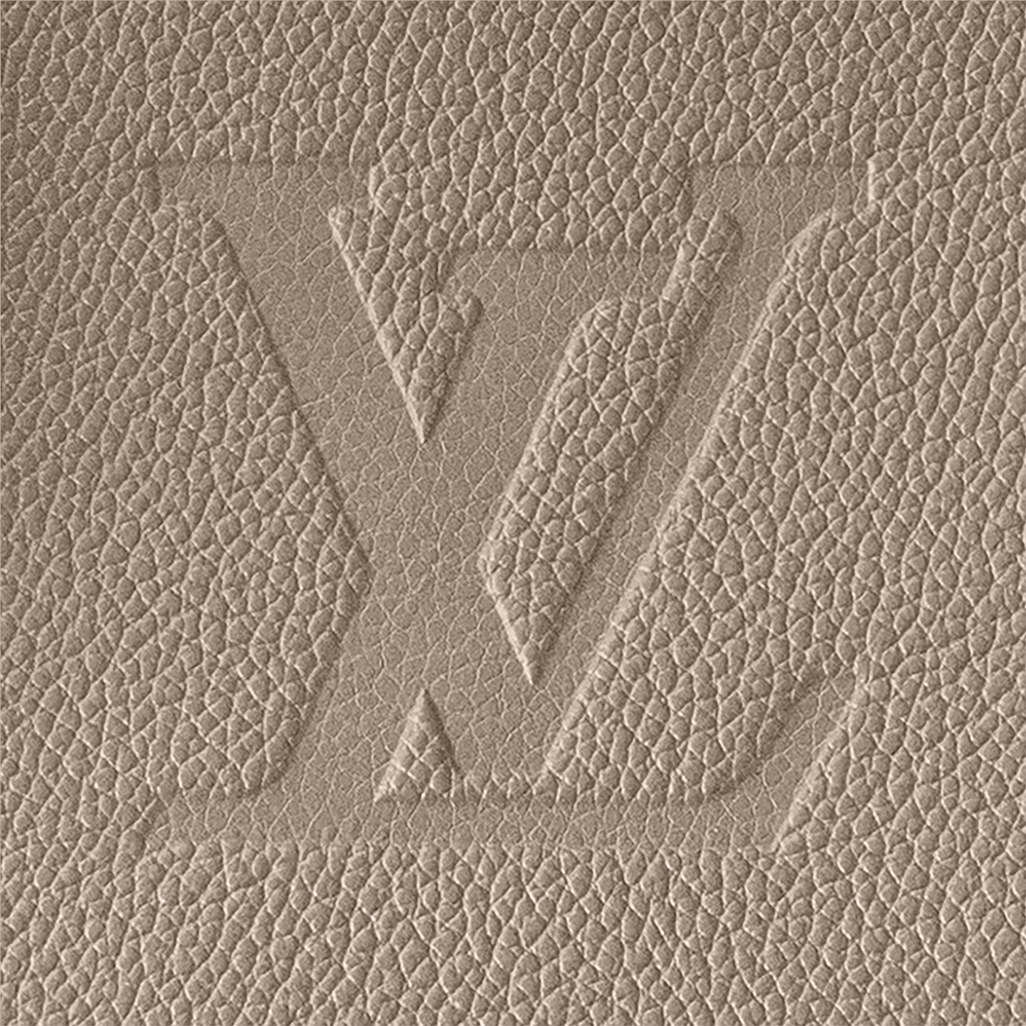 Speedy Bandoulière 25 Monogram Empreinte Leather in Women