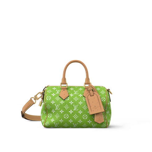 Speedy P9 25 Autruche in Les Extraordinaires's Exotics Men City Bags collections by Louis Vuitton (Product zoom)