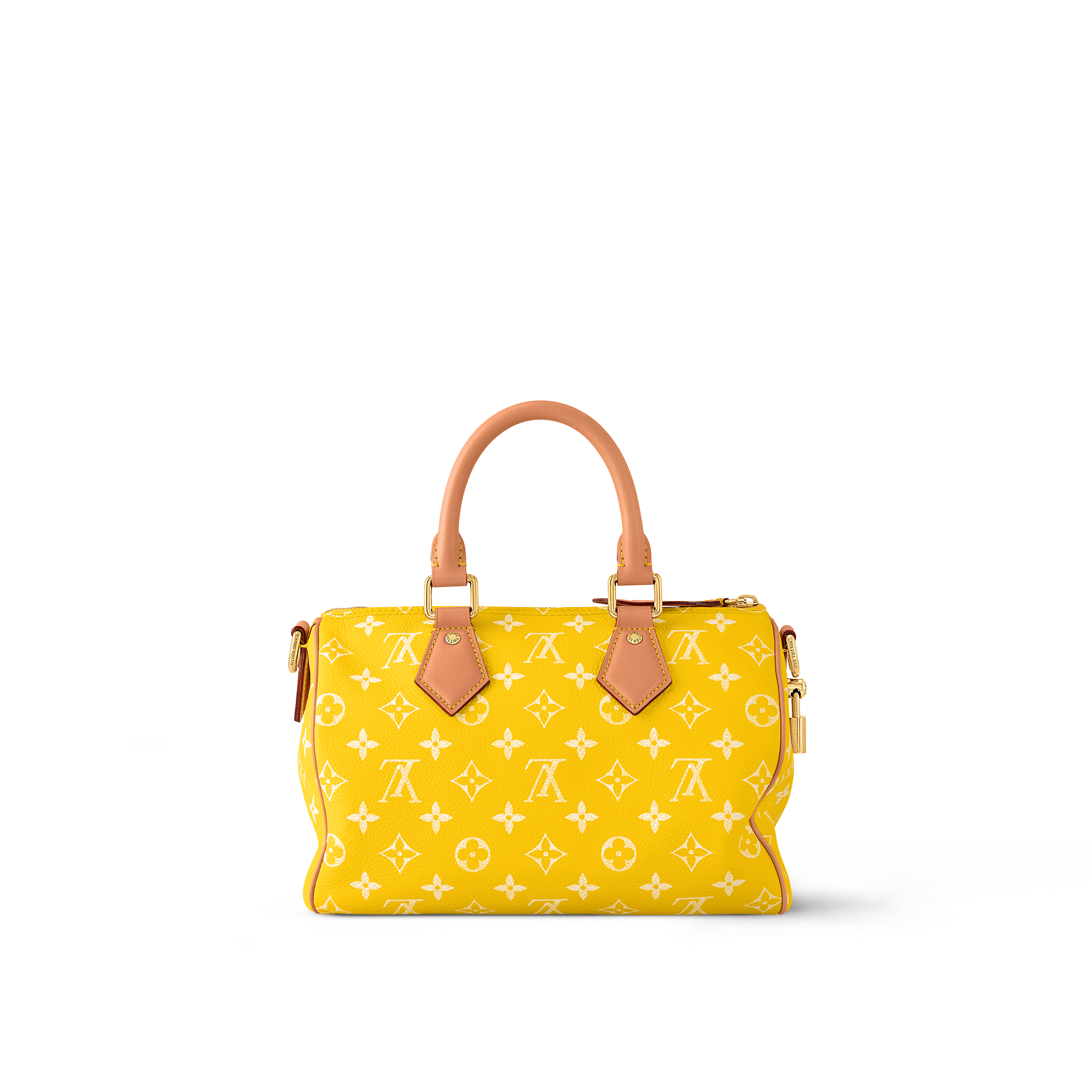 Speedy P9 Bandoulière 25 Autres Cuirs Monogram in Les Extraordinaires