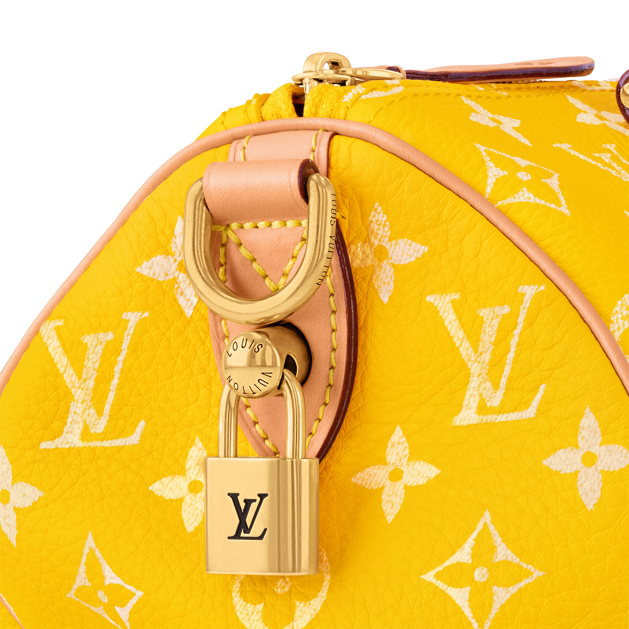 Speedy P9 Bandoulière 25 Autres Cuirs Monogram in Les Extraordinaires