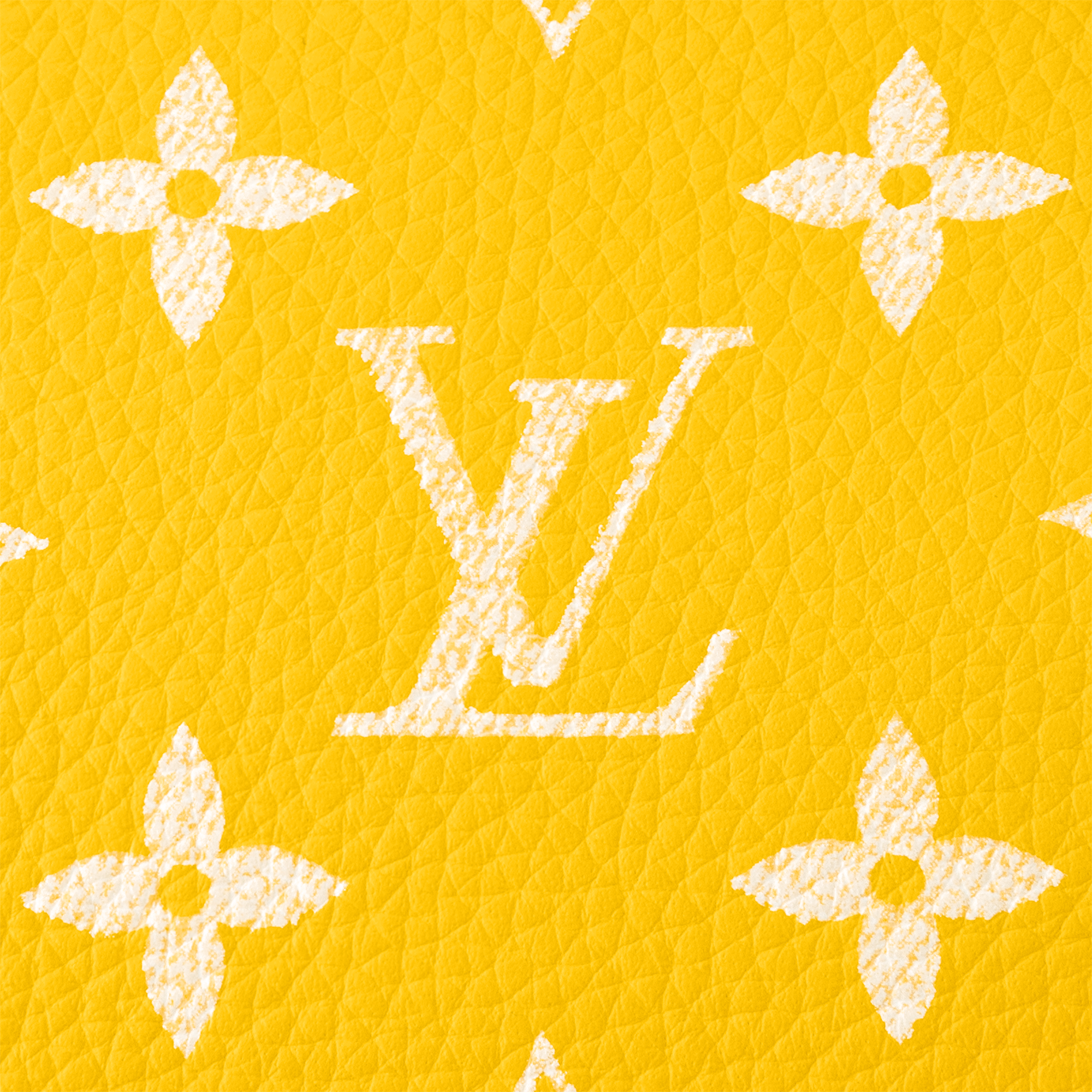 Speedy P9 Bandoulière 25 Autres Cuirs Monogram in Les Extraordinaires