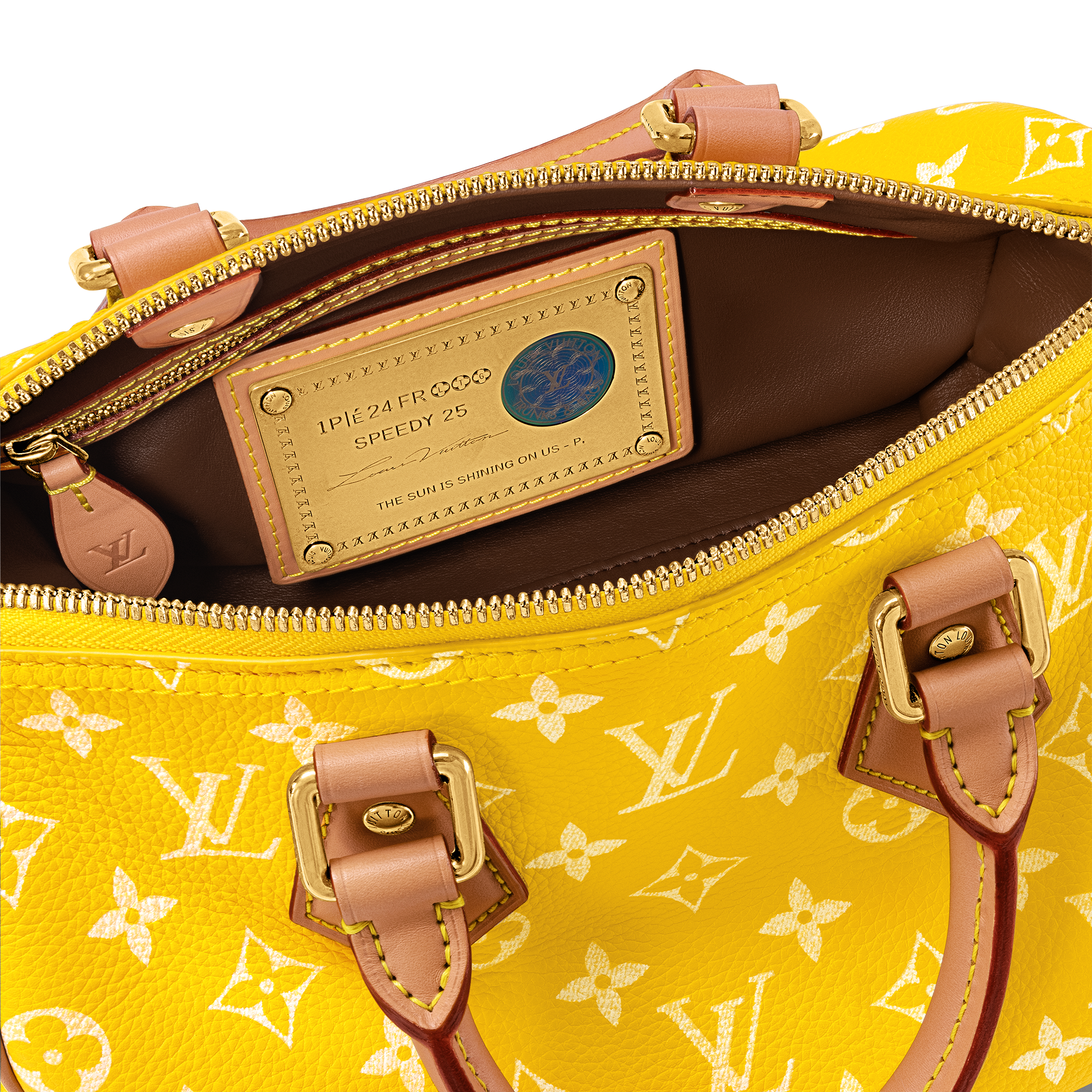 Speedy P9 Bandoulière 25 Autres Cuirs Monogram in Les Extraordinaires