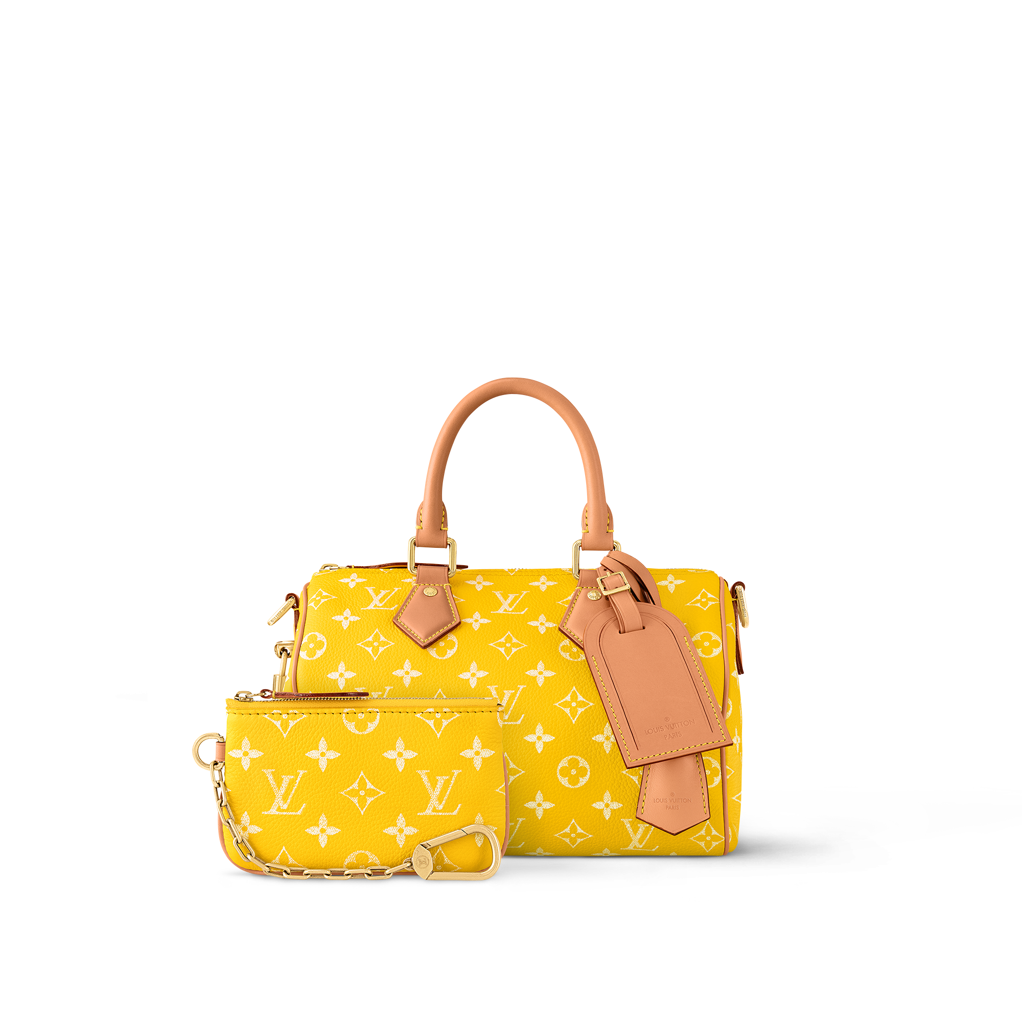 Speedy P9 Bandoulière 25 Autres Cuirs Monogram in Les Extraordinaires