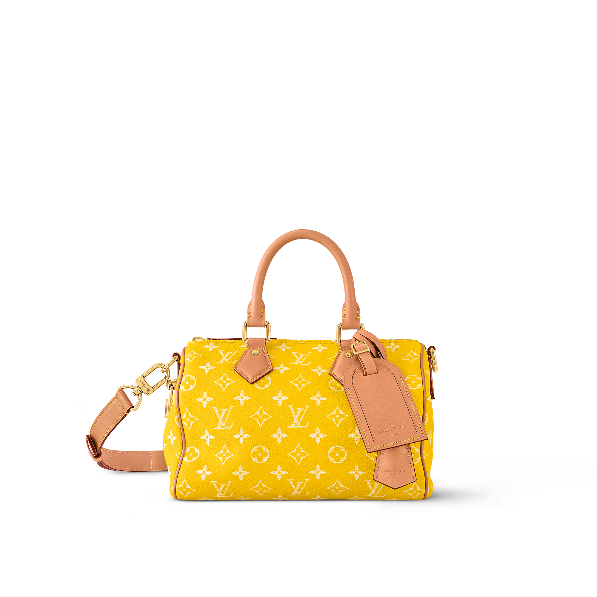 Speedy P9 Bandoulière 25 Autres Cuirs Monogram in Les Extraordinaires