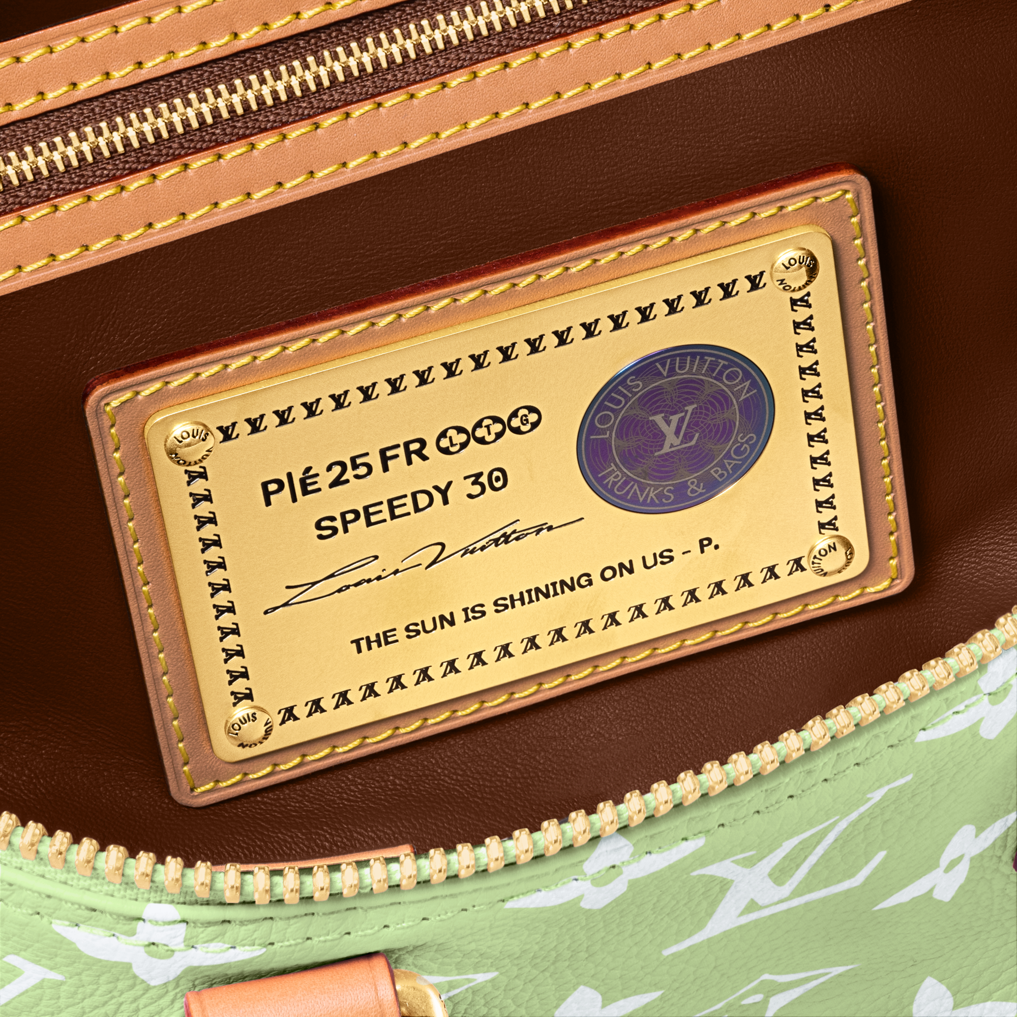 Speedy P9 Bandoulière 30 Autres Cuirs Monogram in Les Extraordinaires