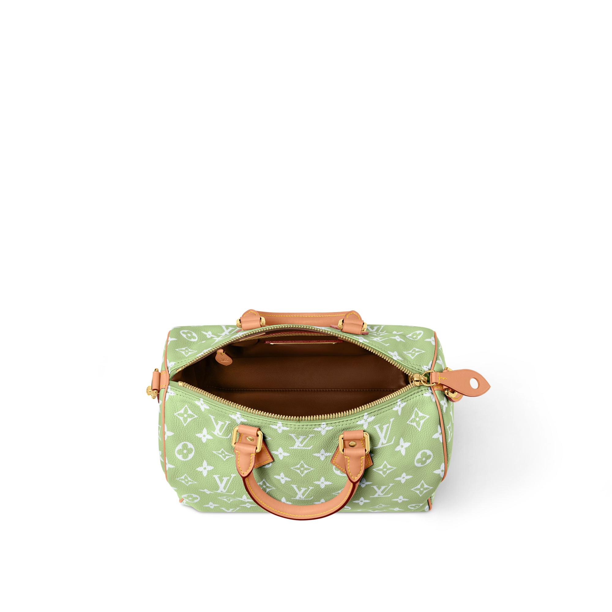 Speedy P9 Bandoulière 30 Autres Cuirs Monogram in Les Extraordinaires