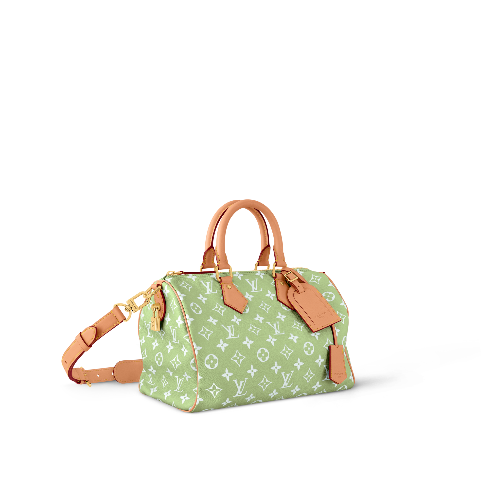 Speedy P9 Bandoulière 30 Autres Cuirs Monogram in Les Extraordinaires