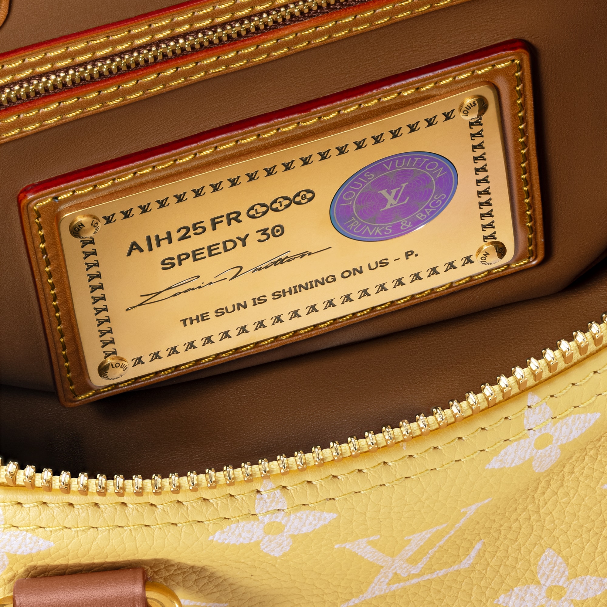 Speedy P9 Bandoulière 30 Autres Cuirs Monogram in Les Extraordinaires