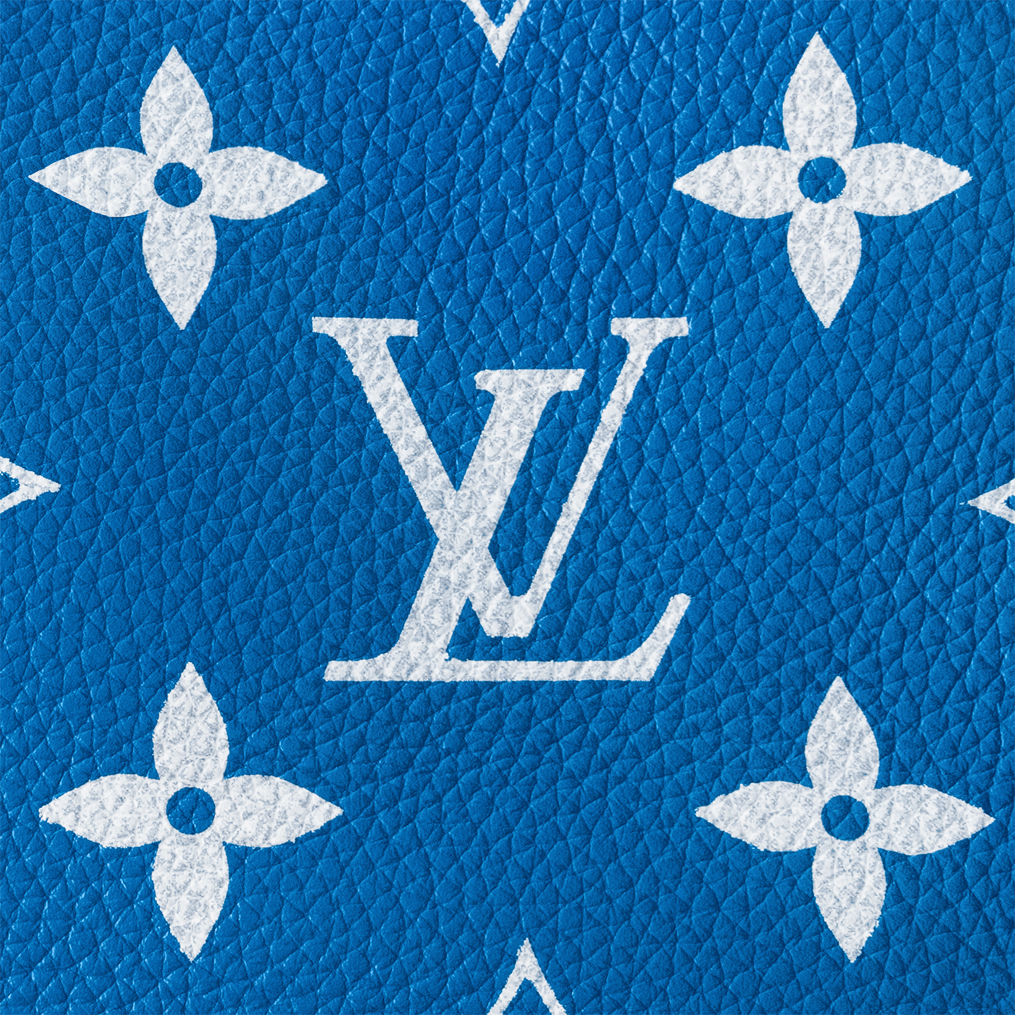 Speedy P9 Bandoulière 40 Autres Cuirs Monogram in Les Extraordinaires