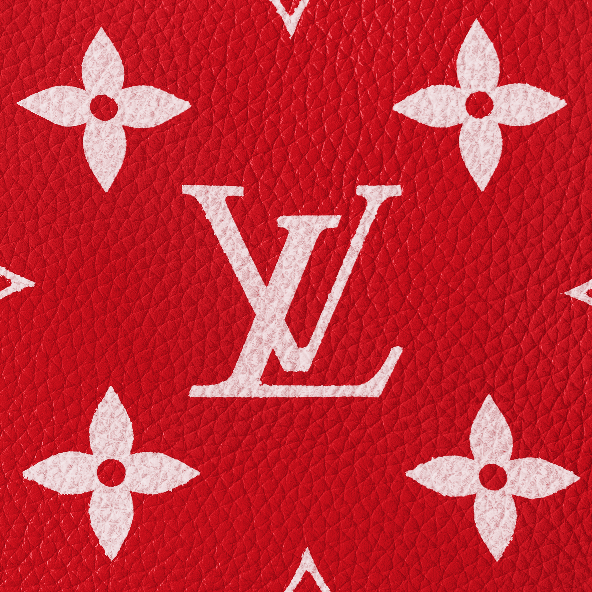 Speedy P9 Bandoulière 40 Autres Cuirs Monogram in Les Extraordinaires