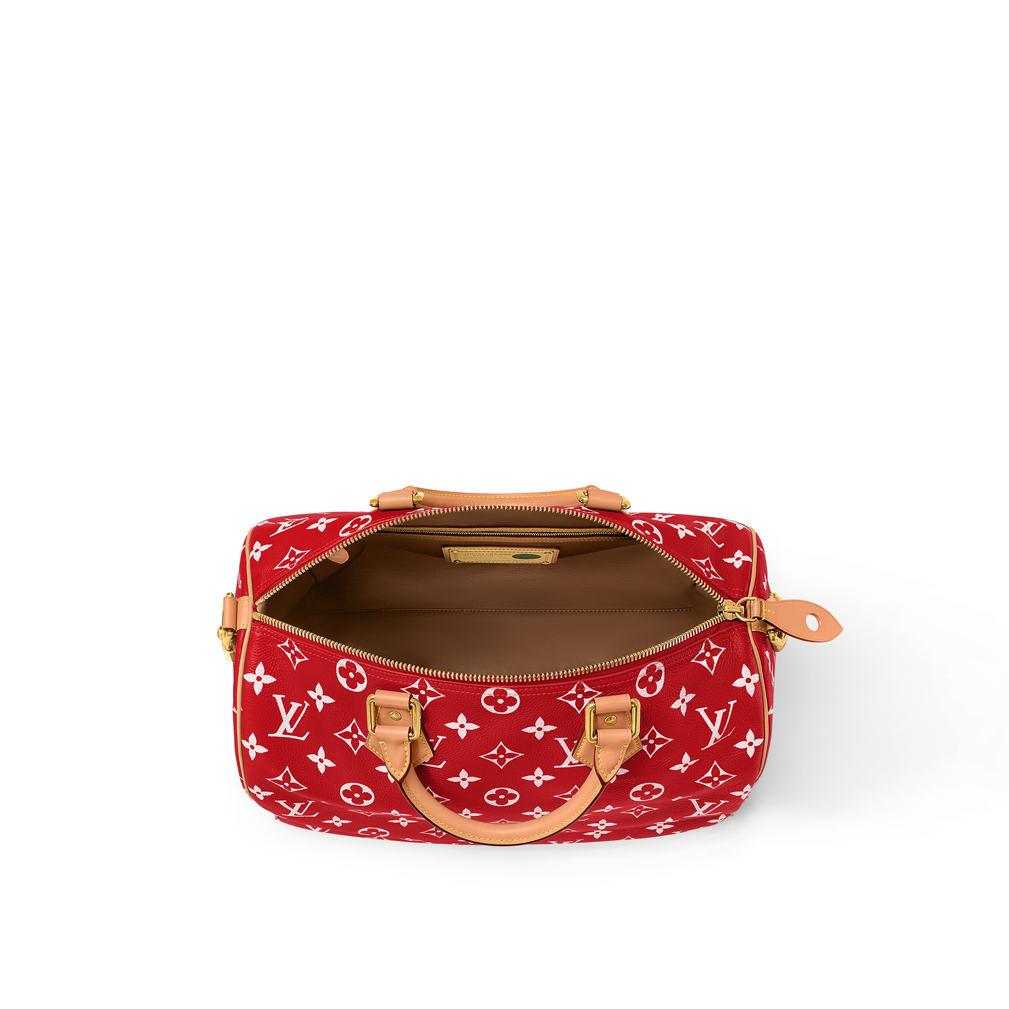 Speedy P9 Bandoulière 40 Autres Cuirs Monogram in Les Extraordinaires