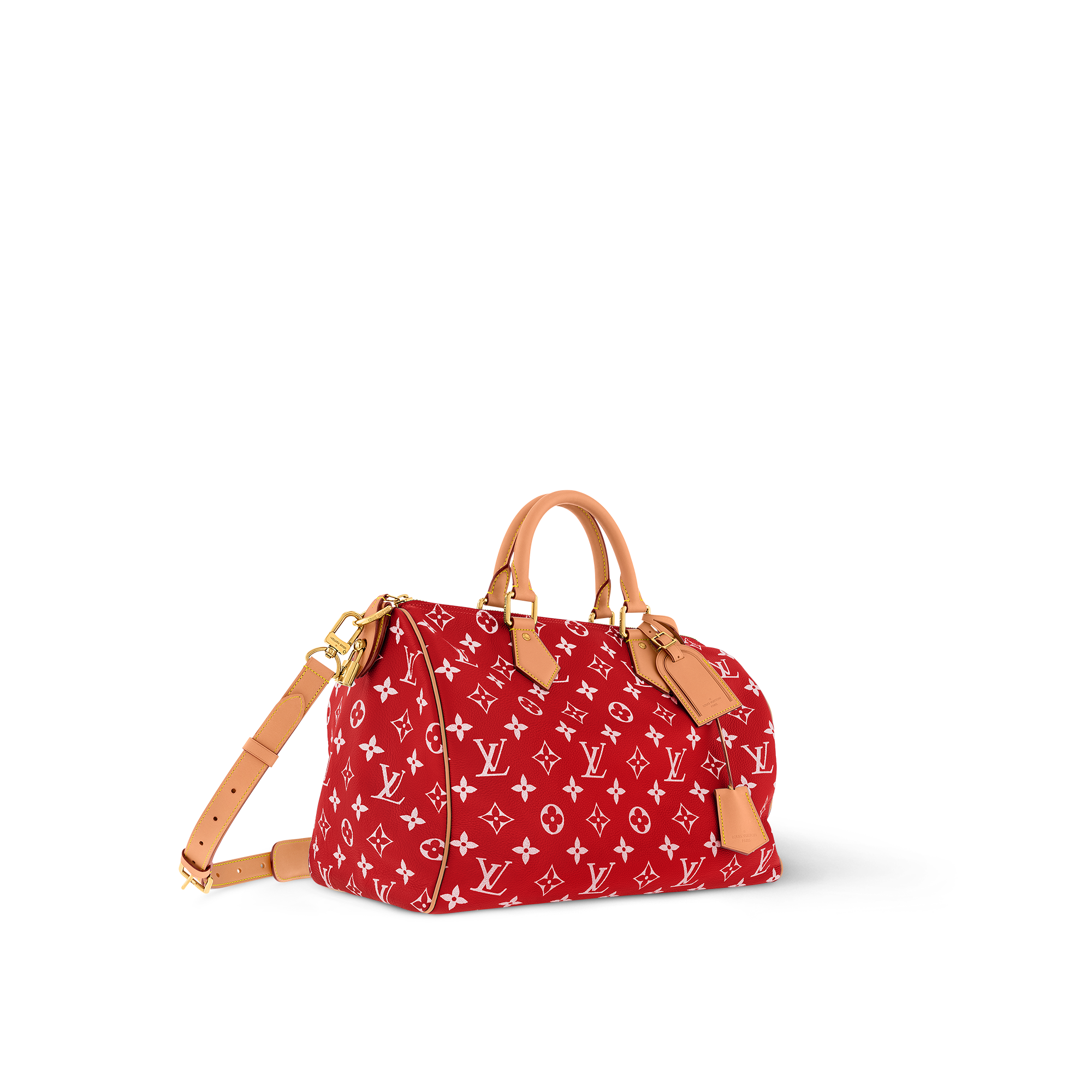 Speedy P9 Bandoulière 40 Autres Cuirs Monogram in Les Extraordinaires