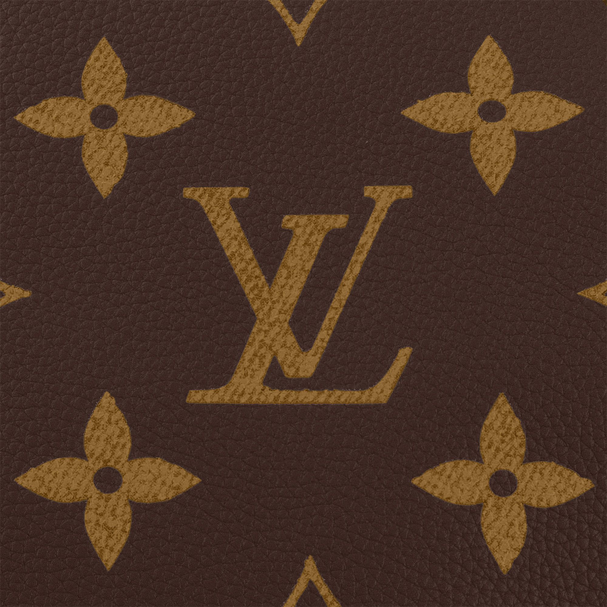 Speedy P9 Bandoulière 50 Autres Cuirs Monogram in Les Extraordinaires