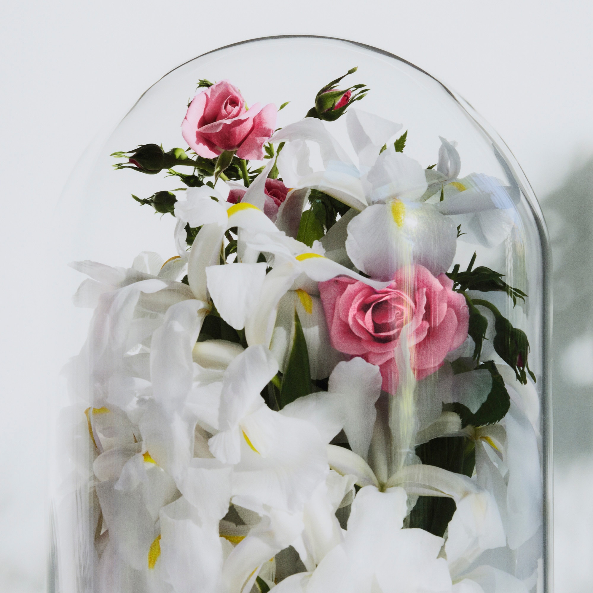 Spell on You  in Perfumes and Beauty