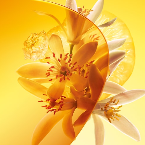 Sun Song in Perfumes and Beauty's Collections Masculine Perfumes collections by Louis Vuitton (Product zoom)