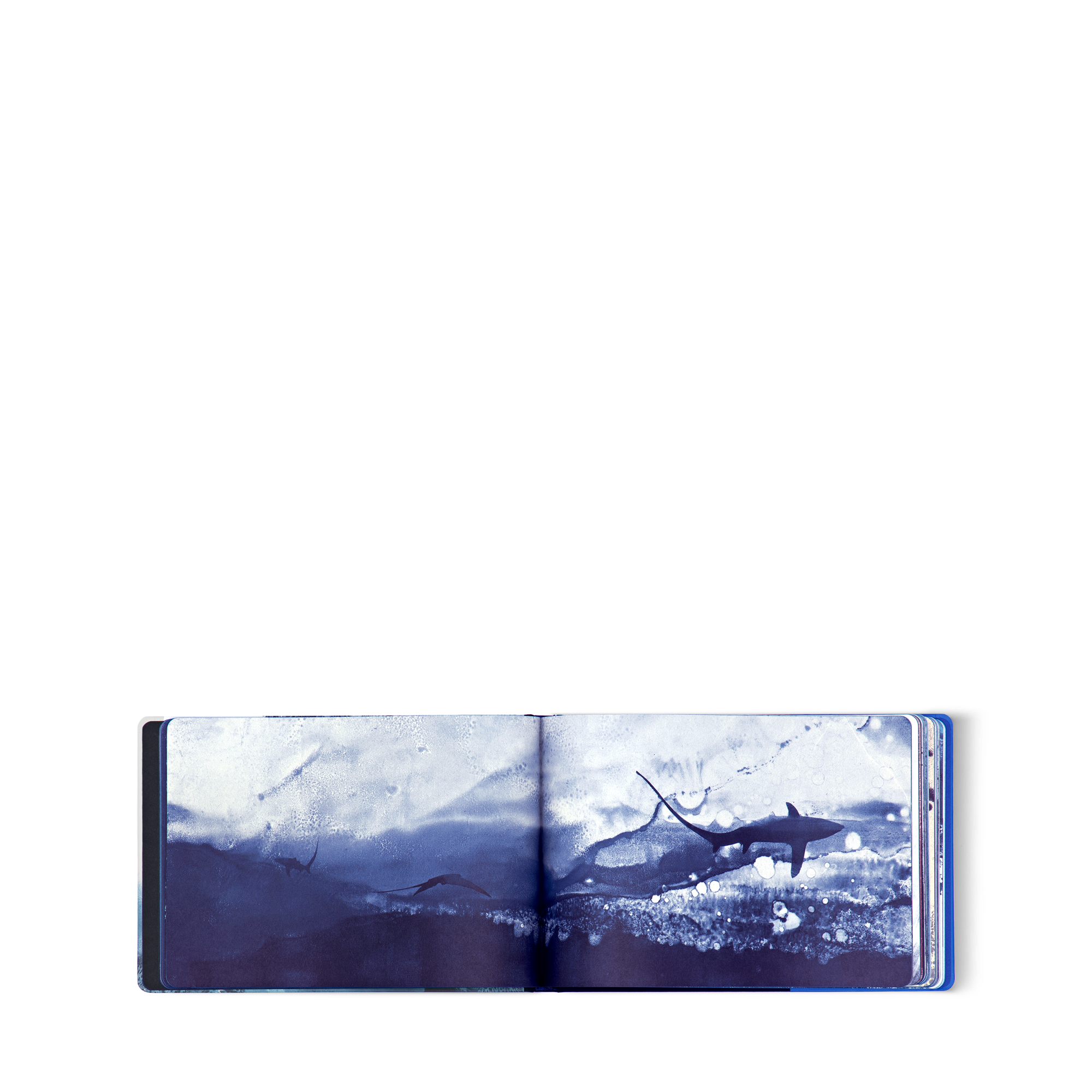 Travel Book Mediterranean Sea By Aurore de Morinerie  in Trunks, Travel and Home