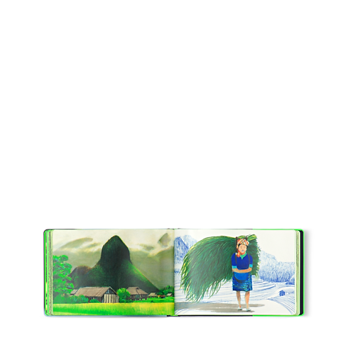 Travel Book Vietnam in Trunks, Travel and Home's Books and Stationery Travel Books collections by Louis Vuitton (Product zoom)