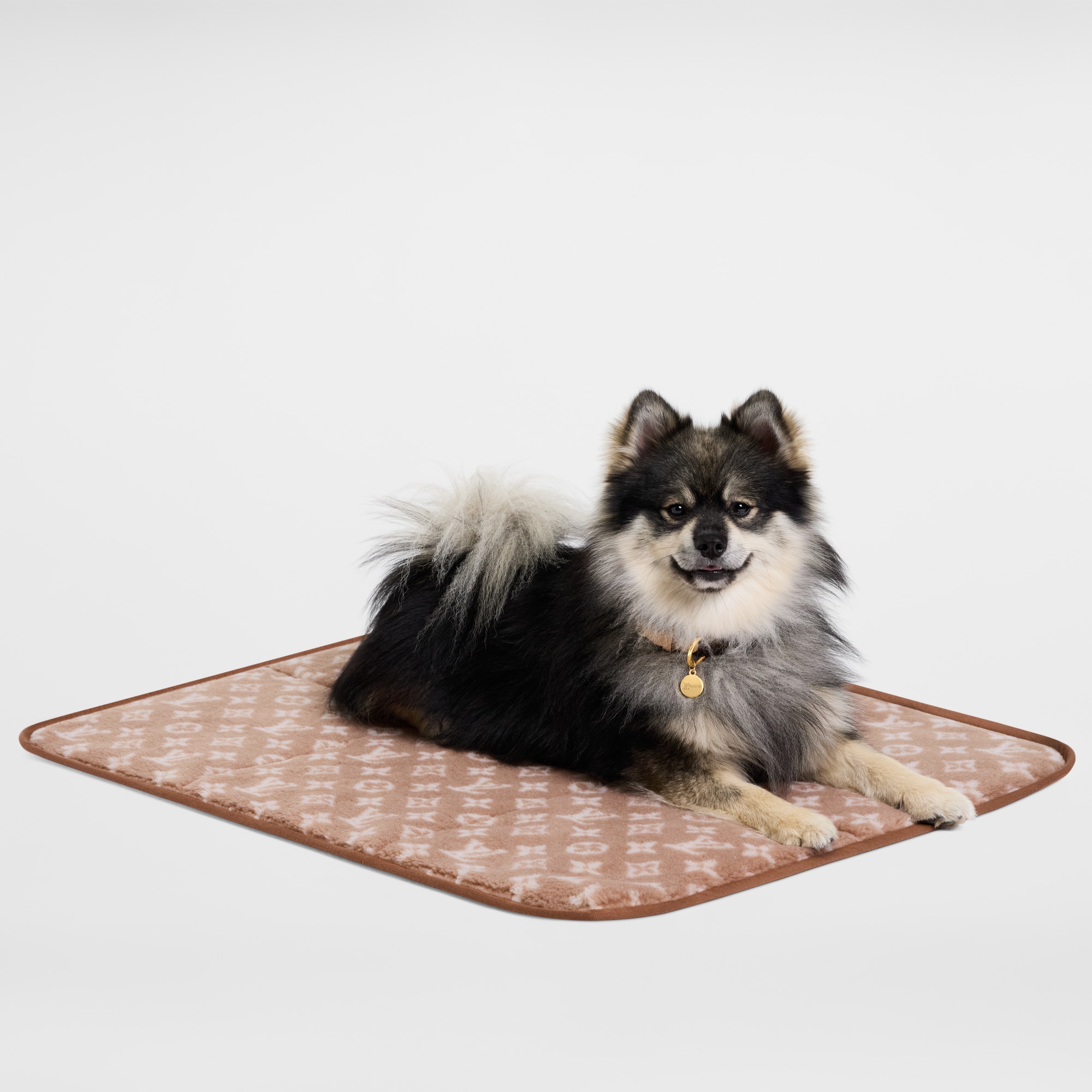 Travel Dog Carpet . in Trunks, Travel and Home