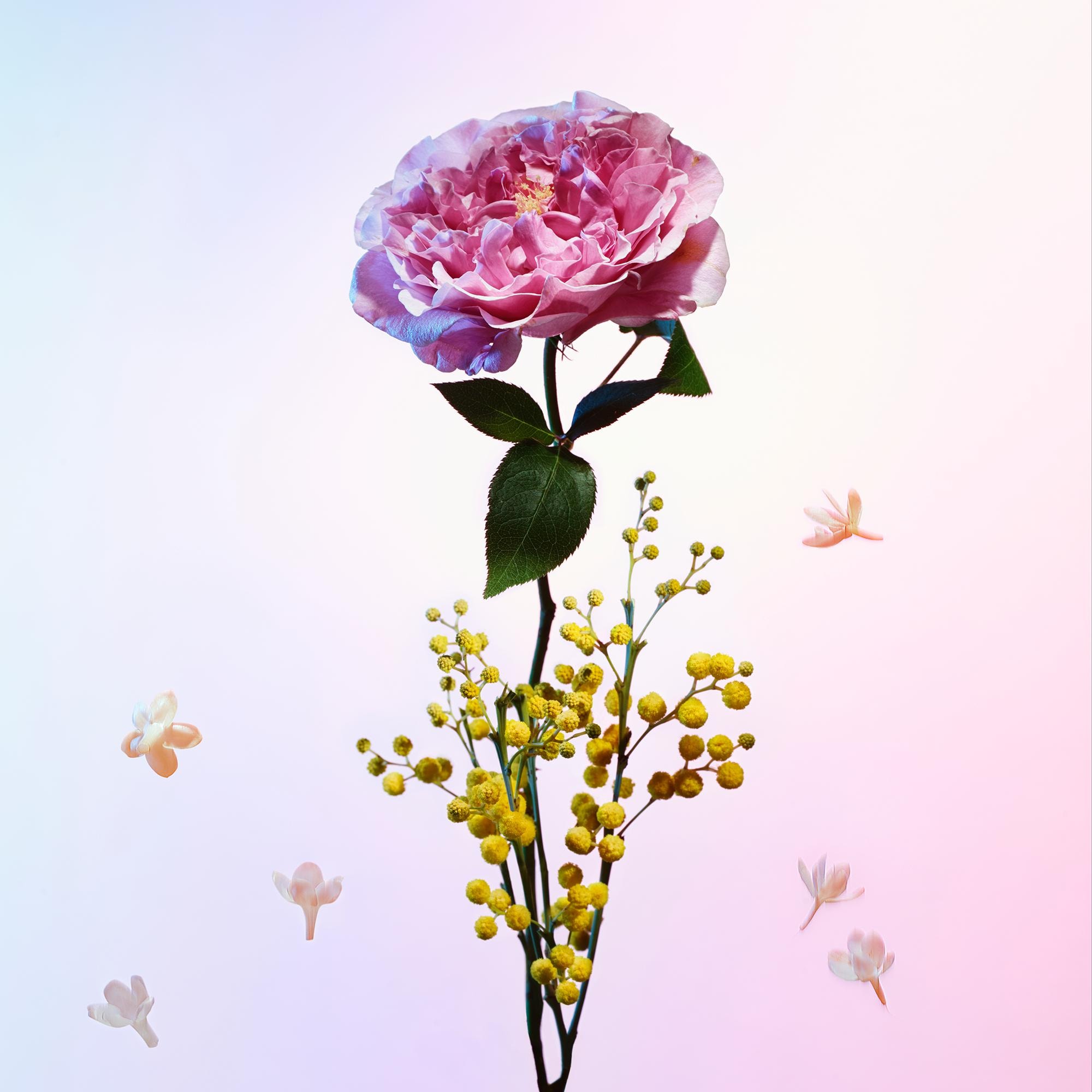 Travel Spray Refill Heures d