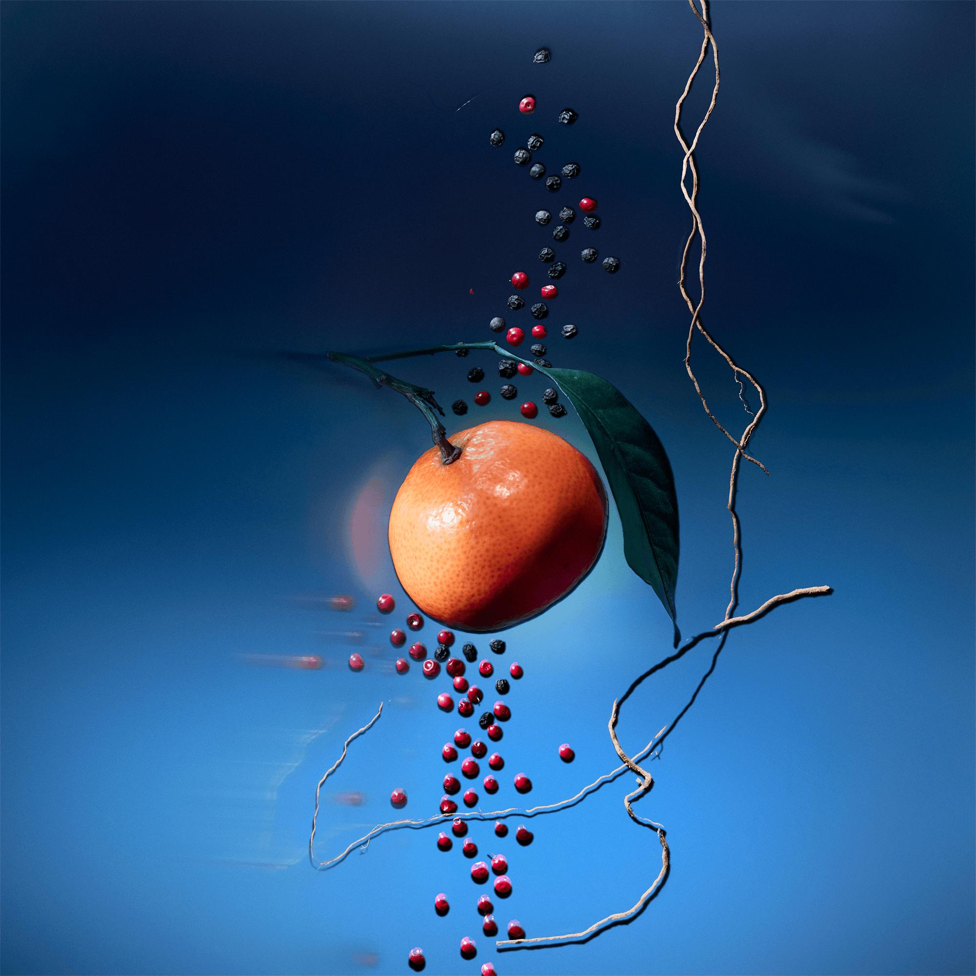 Travel Spray Refill Météore  in Perfumes and Beauty